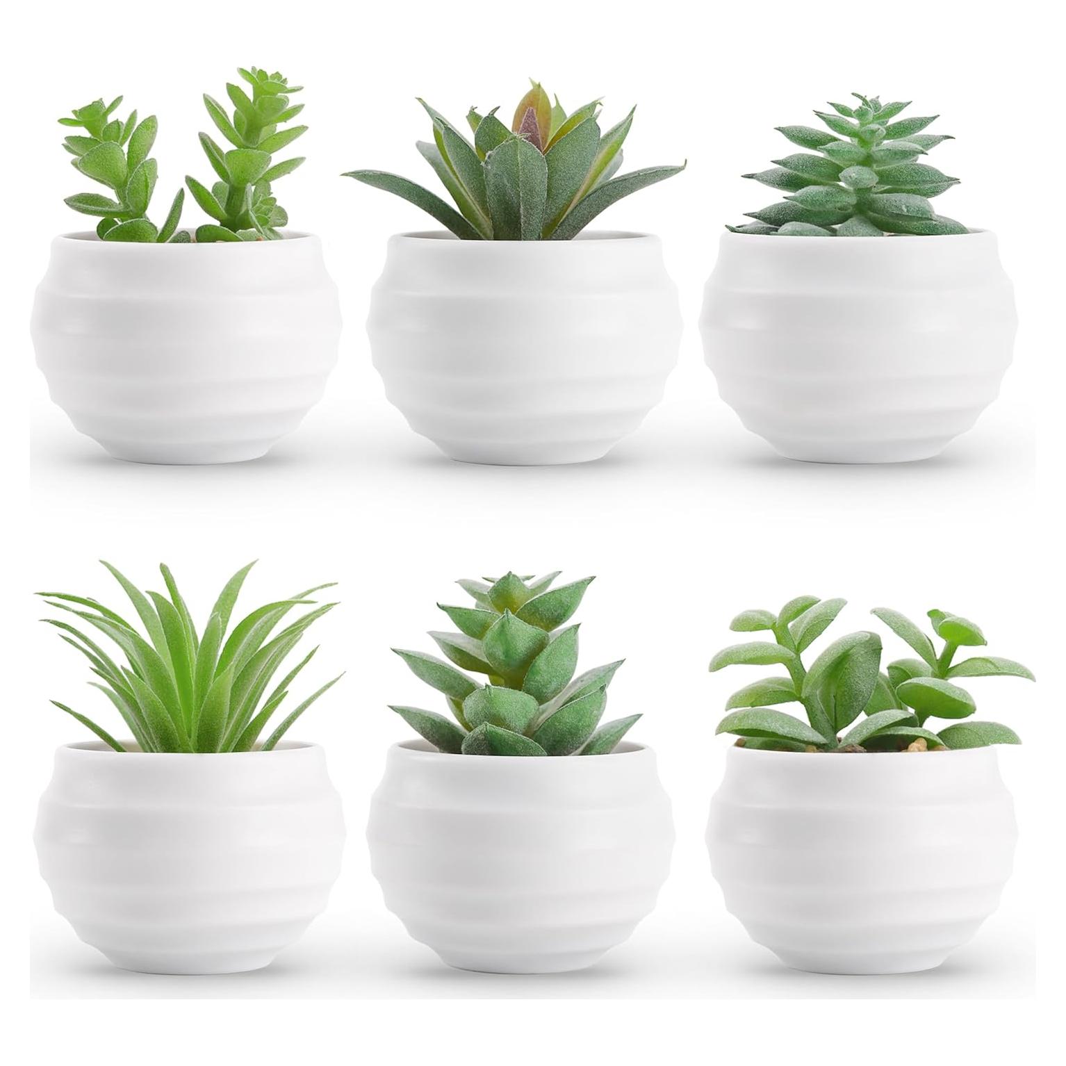 Set de 6 Plantas Suculentas Artificiales Der Rose en Macetas