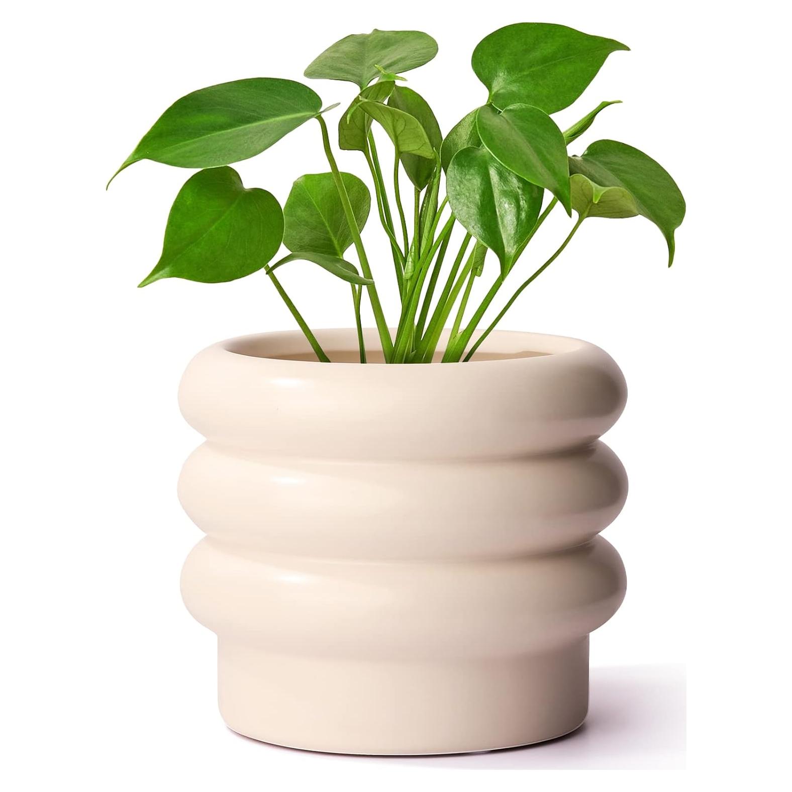 Maceta de Cerámica JOFAMY 15 cm Blanca con Drenaje y Accesorios