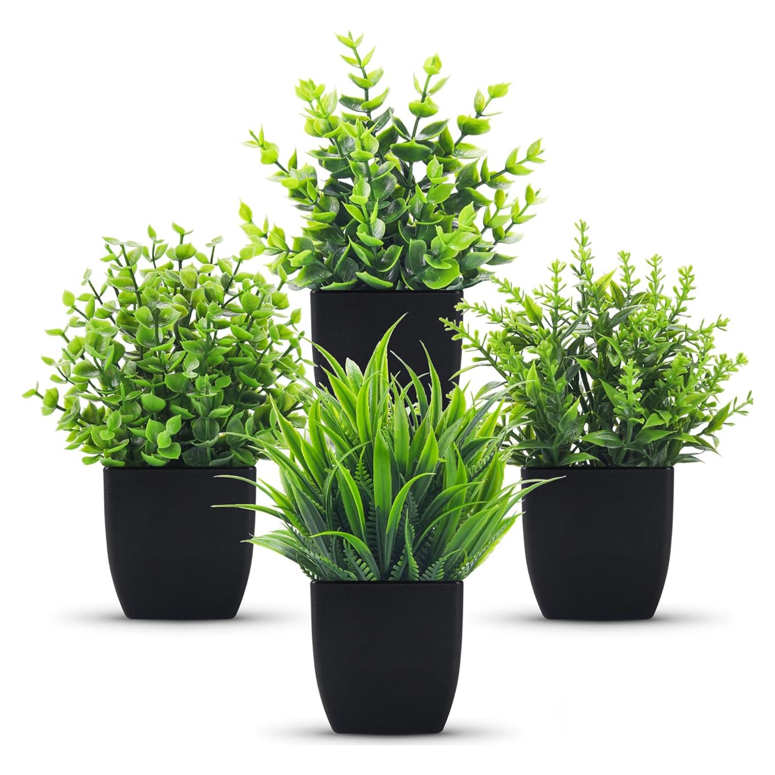 Plantas Falsas Negras Der Rose 4 Pack Decoración Interior