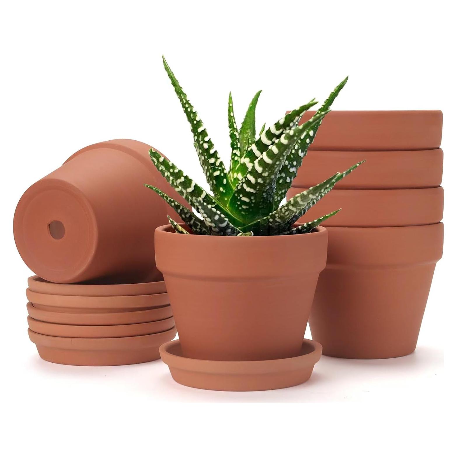 6 Macetas de Arcilla KOAMLY 12.7 cm con Drenaje para Plantas