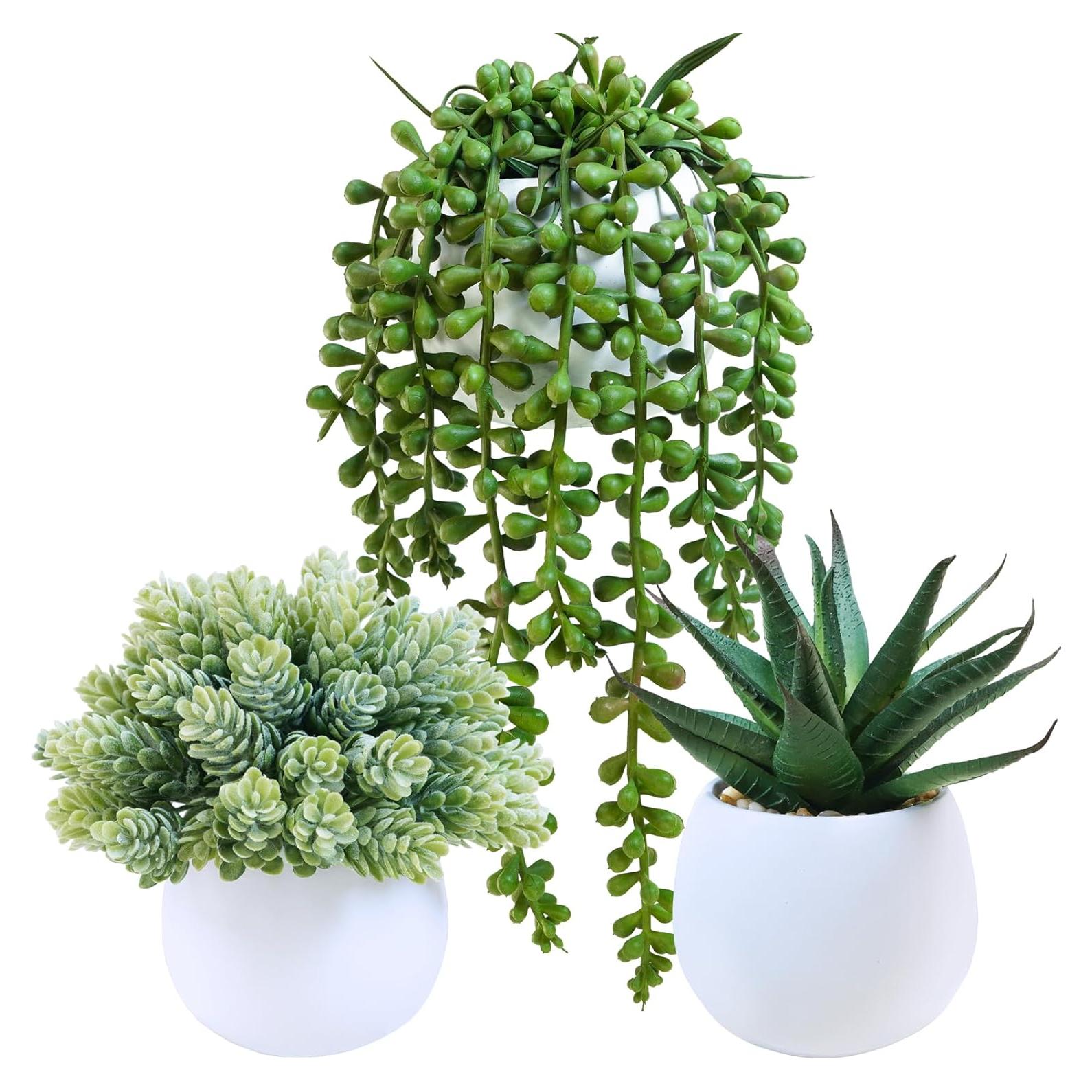 Juego de 3 Plantas Suculentas Artificiales Winlyn en Macetas Concreto