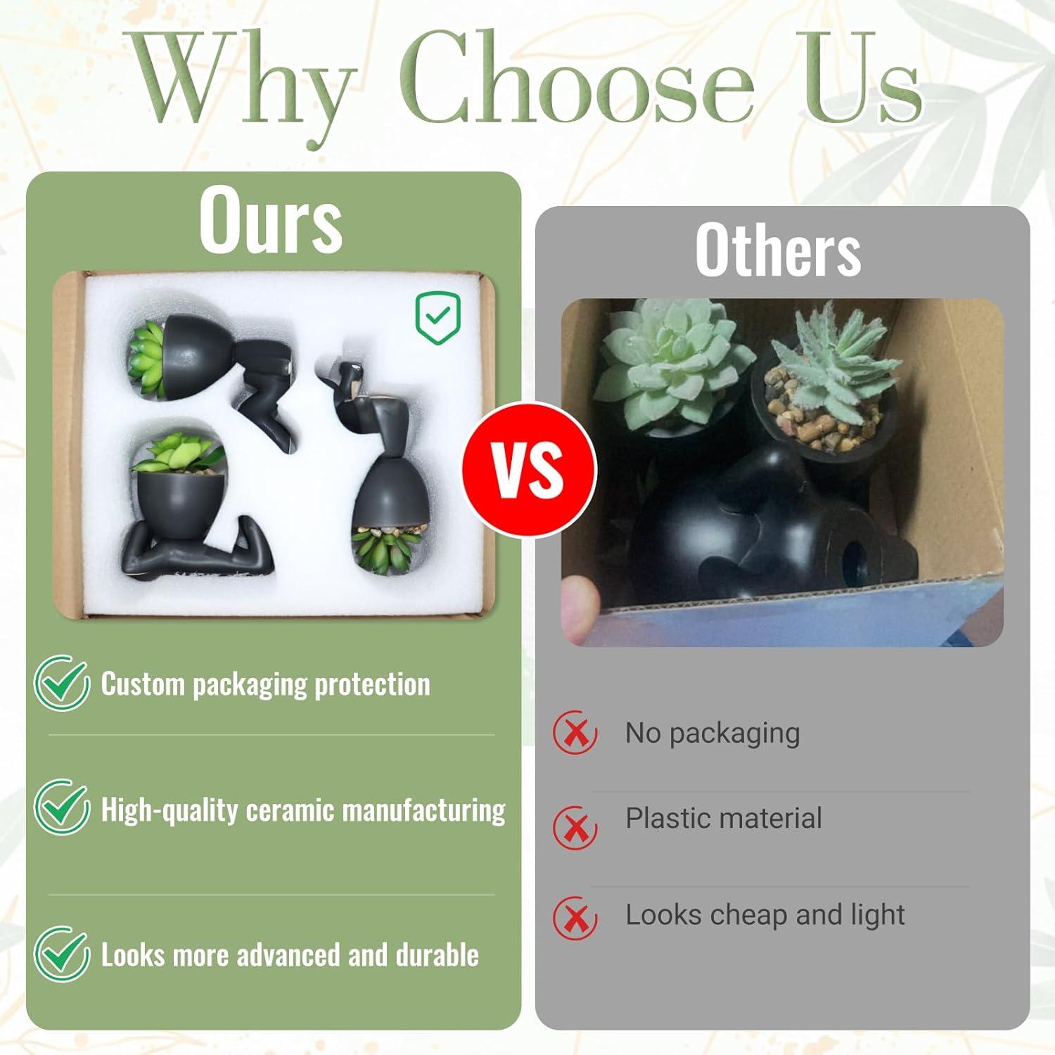 Zerzsy 3 PCS Plantas Suculentas Artificiales en Macetas Cerámicas