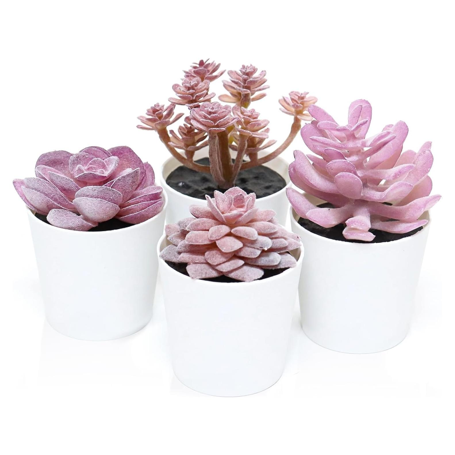 Juego de 4 Macetas Mini Suculentas Falsas Uguisu Rosa Púrpura