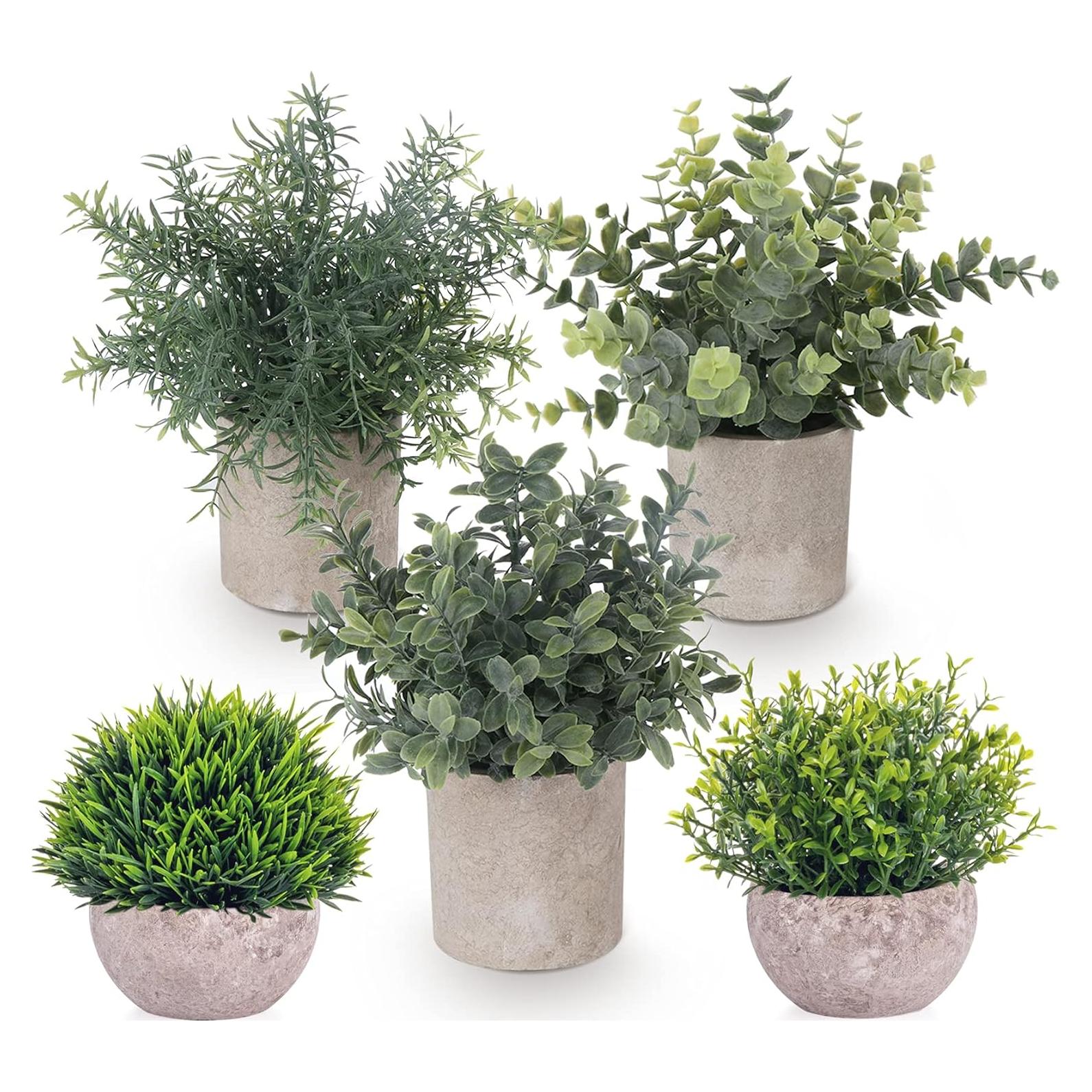 Set de 5 Plantas Artificiales Eucalipto Lemonfilter Verde