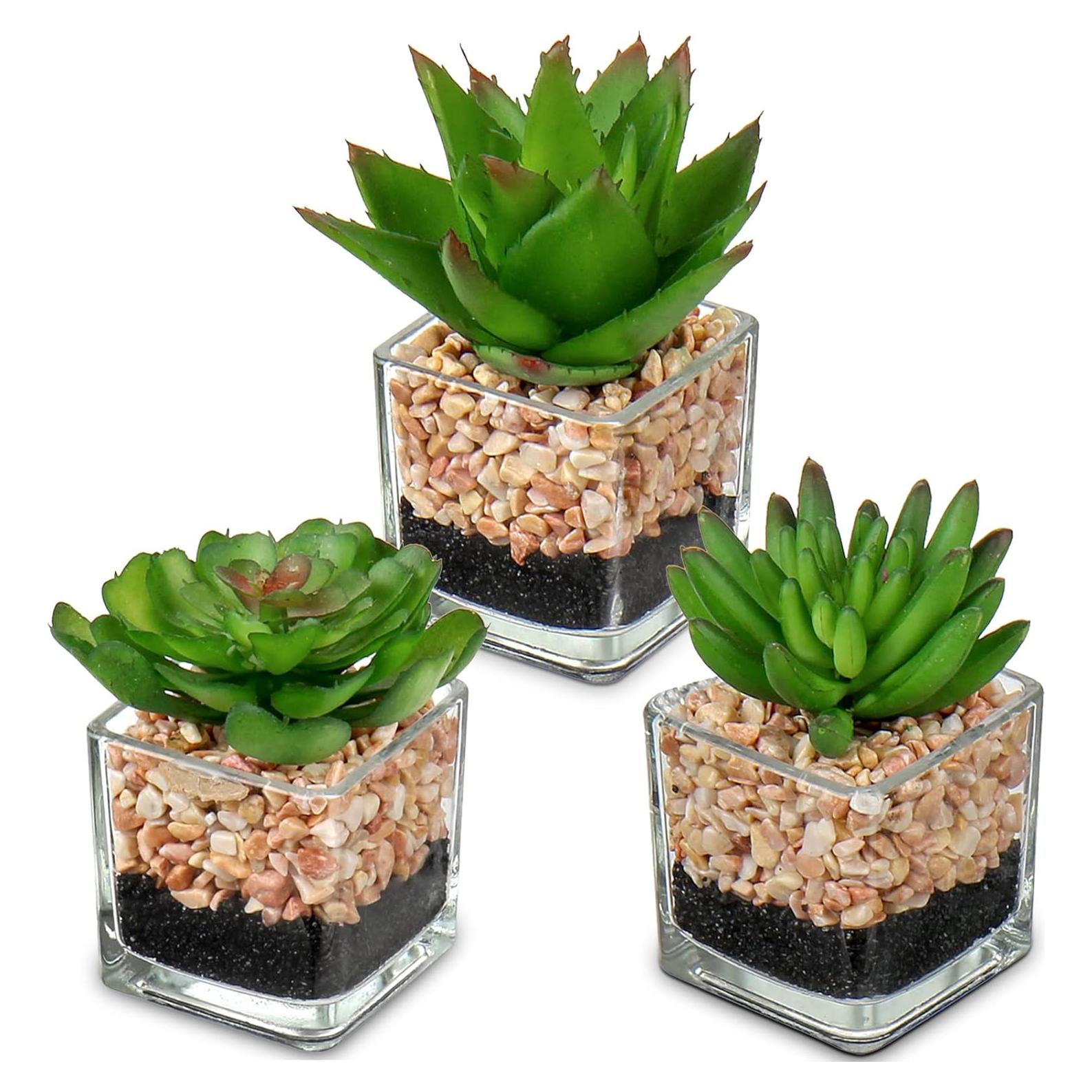 Briful Mini Suculentas Artificiales en Macetas de Vidrio - 3 Piezas