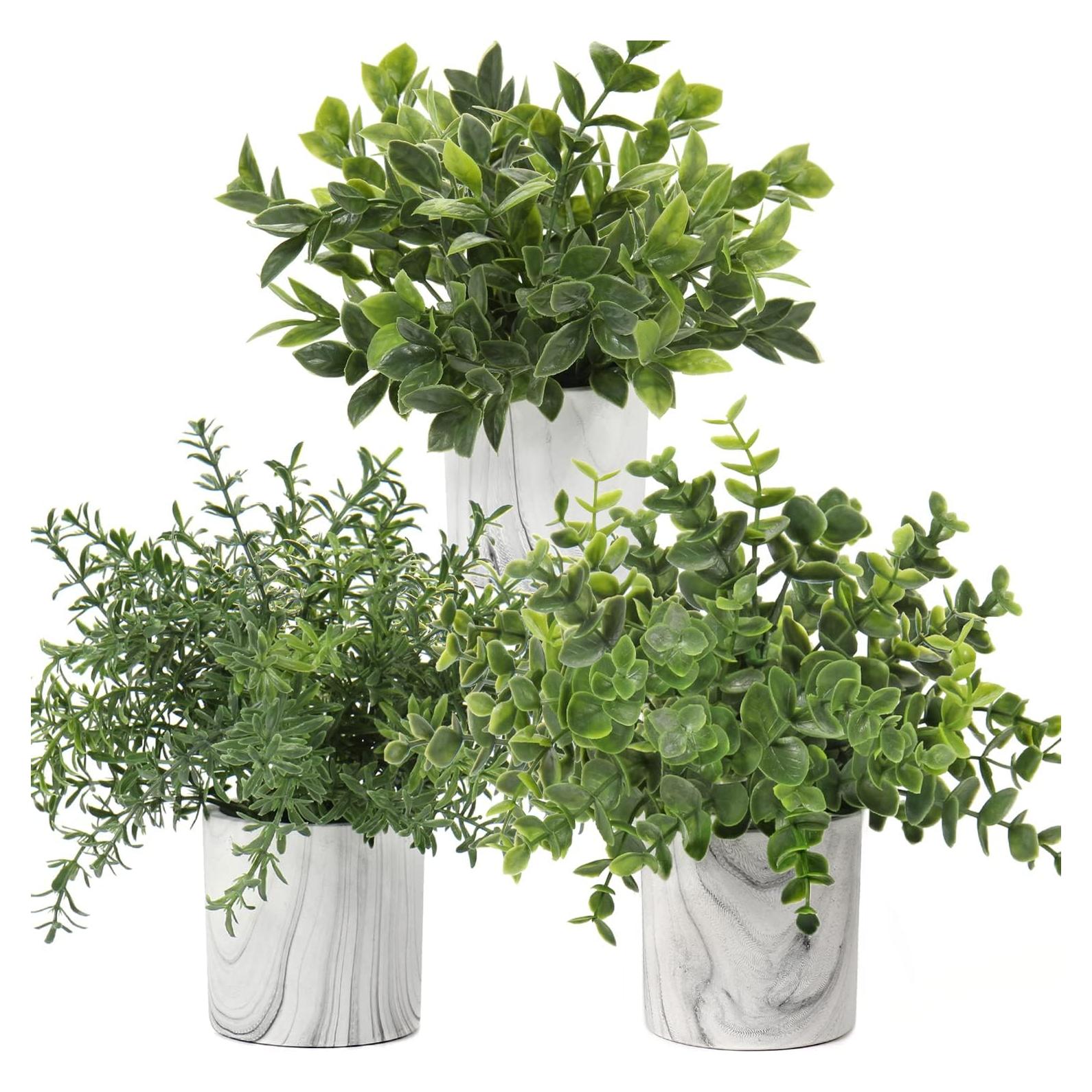 Planta Artificial Eucalipto Hollyone en Maceta de Papel 22.9 cm