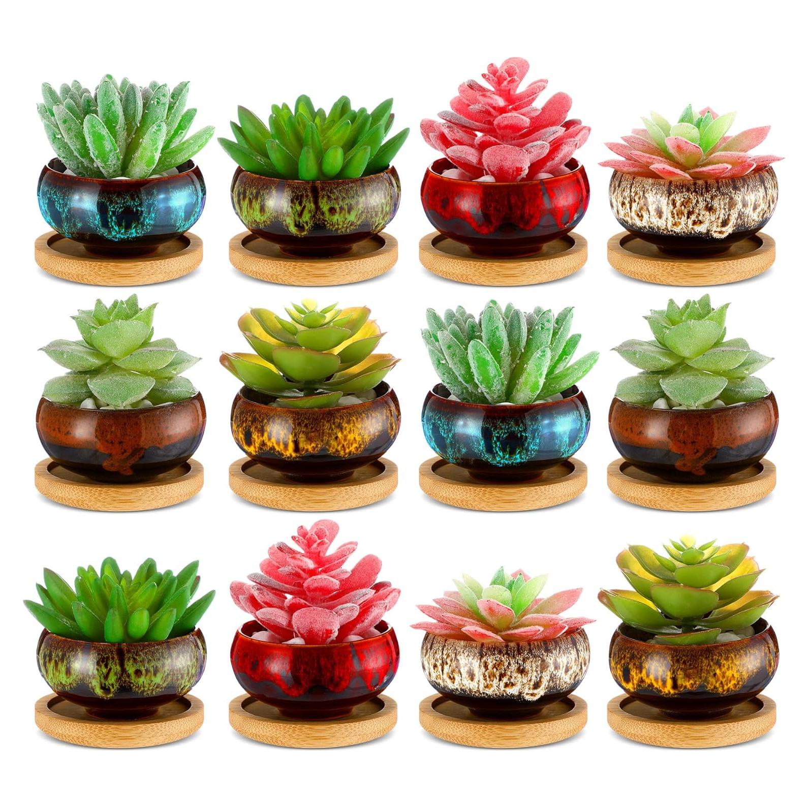 12 Macetas Suculentas Cerámicas RimCereal 6.3 cm con Drenaje