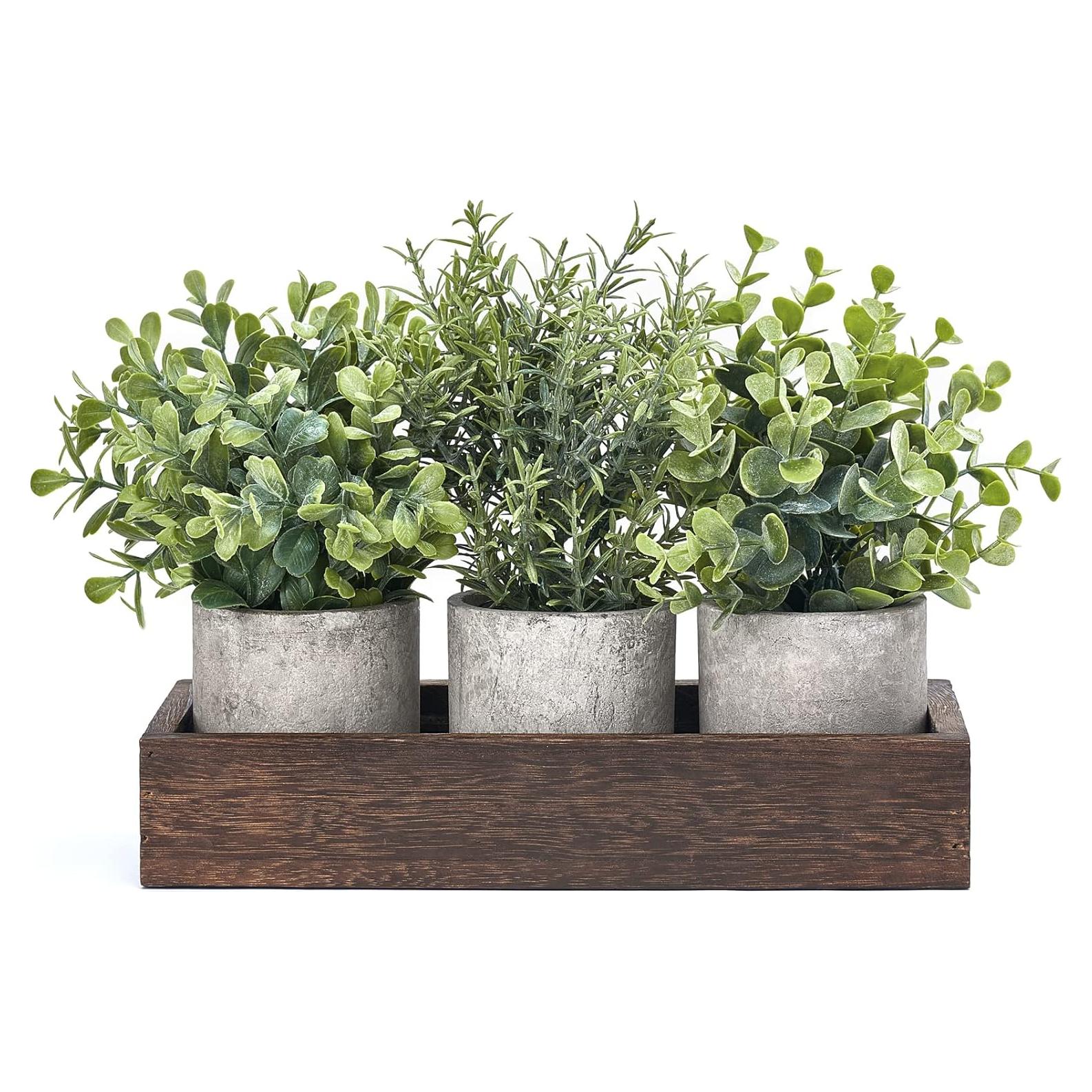 Conjunto de Plantas Artificiales Eucalipto Dahey 3 Pzas