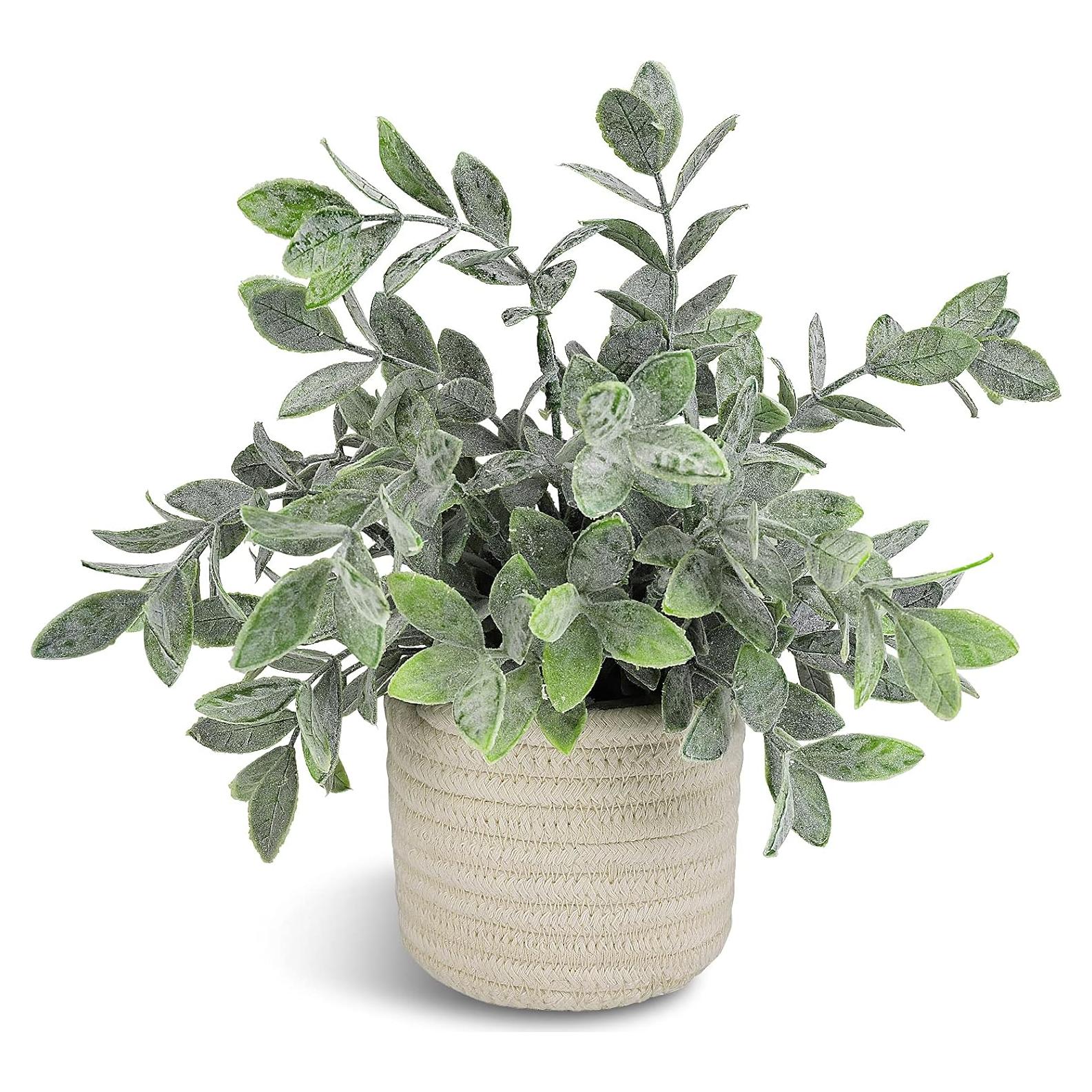 Planta Falsa Eucalipto Hopewood 24.9cm para Decoración Interior