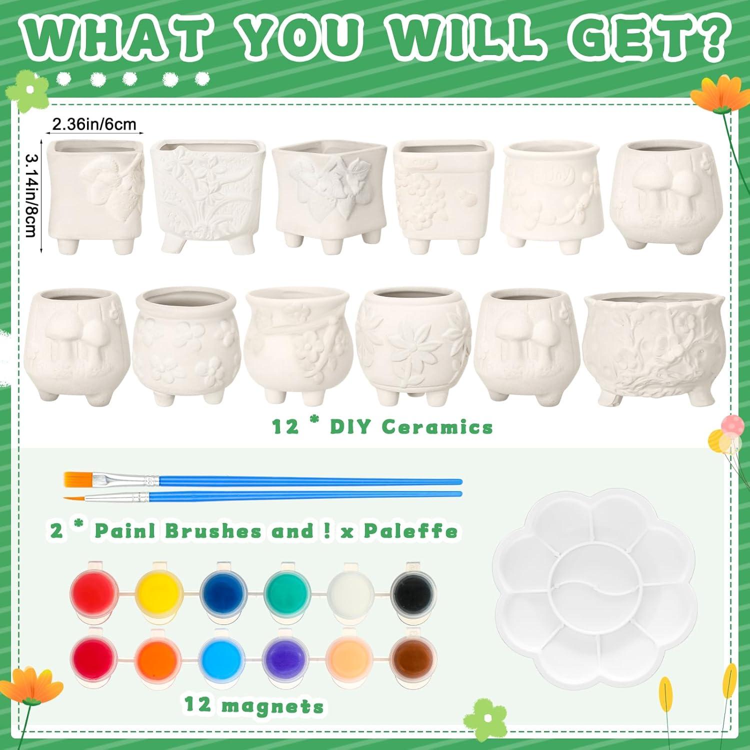 Hushee 12 Macetas Cerámicas Pintables para Suculentas DIY