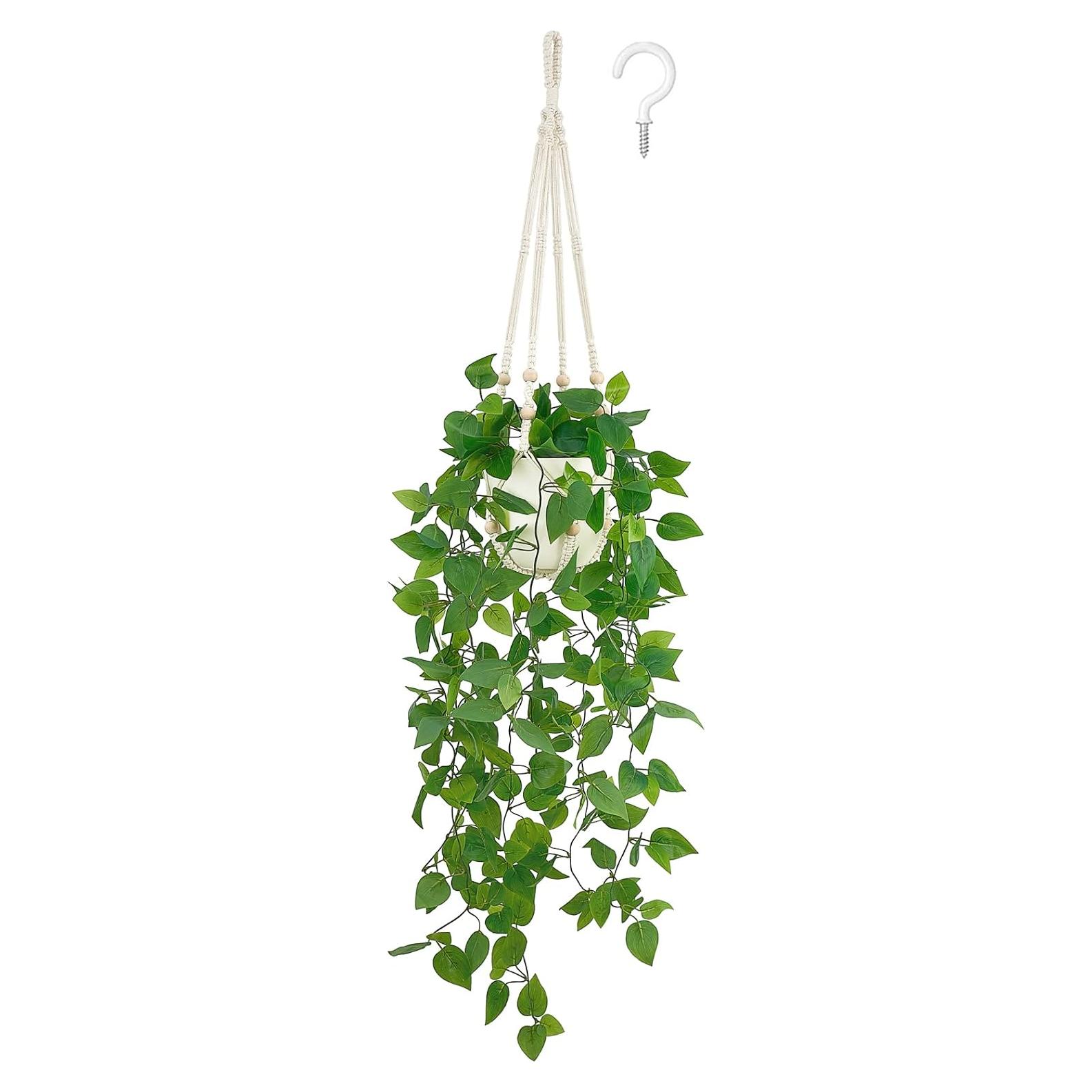 Planta Colgante Falsa Mkono Pothos con Maceta 76.2 cm
