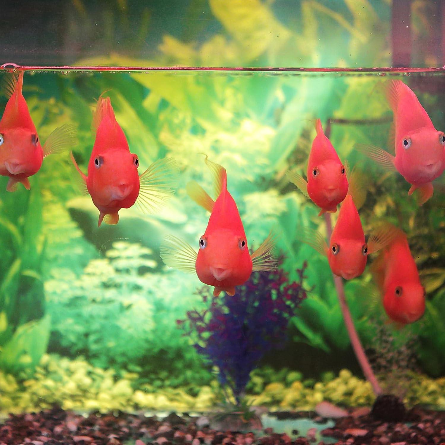 Criador de Peces AQUANEAT 2 Pcs Red de Malla para Alevines