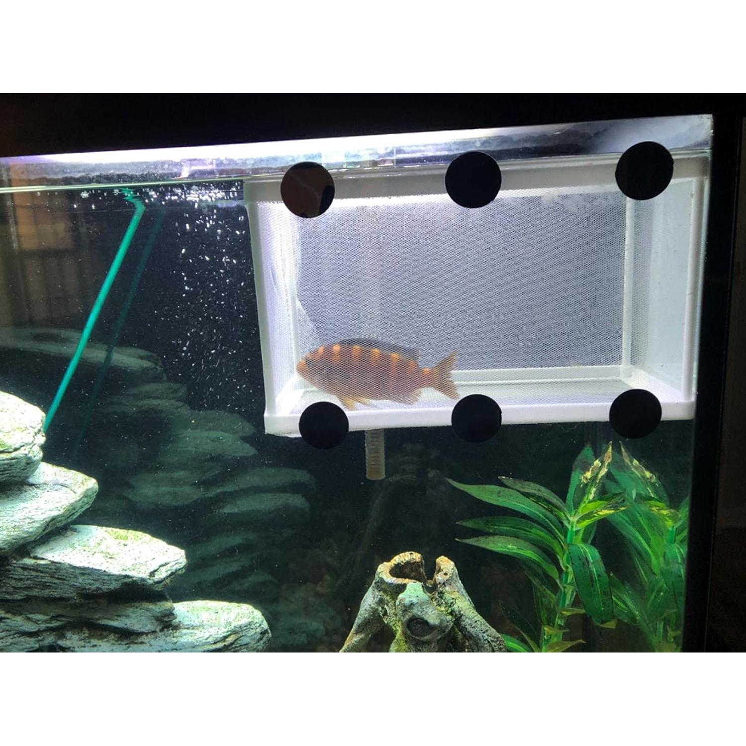 Red de Cría para Acuario Cunguv 26x15 cm con Ventosas