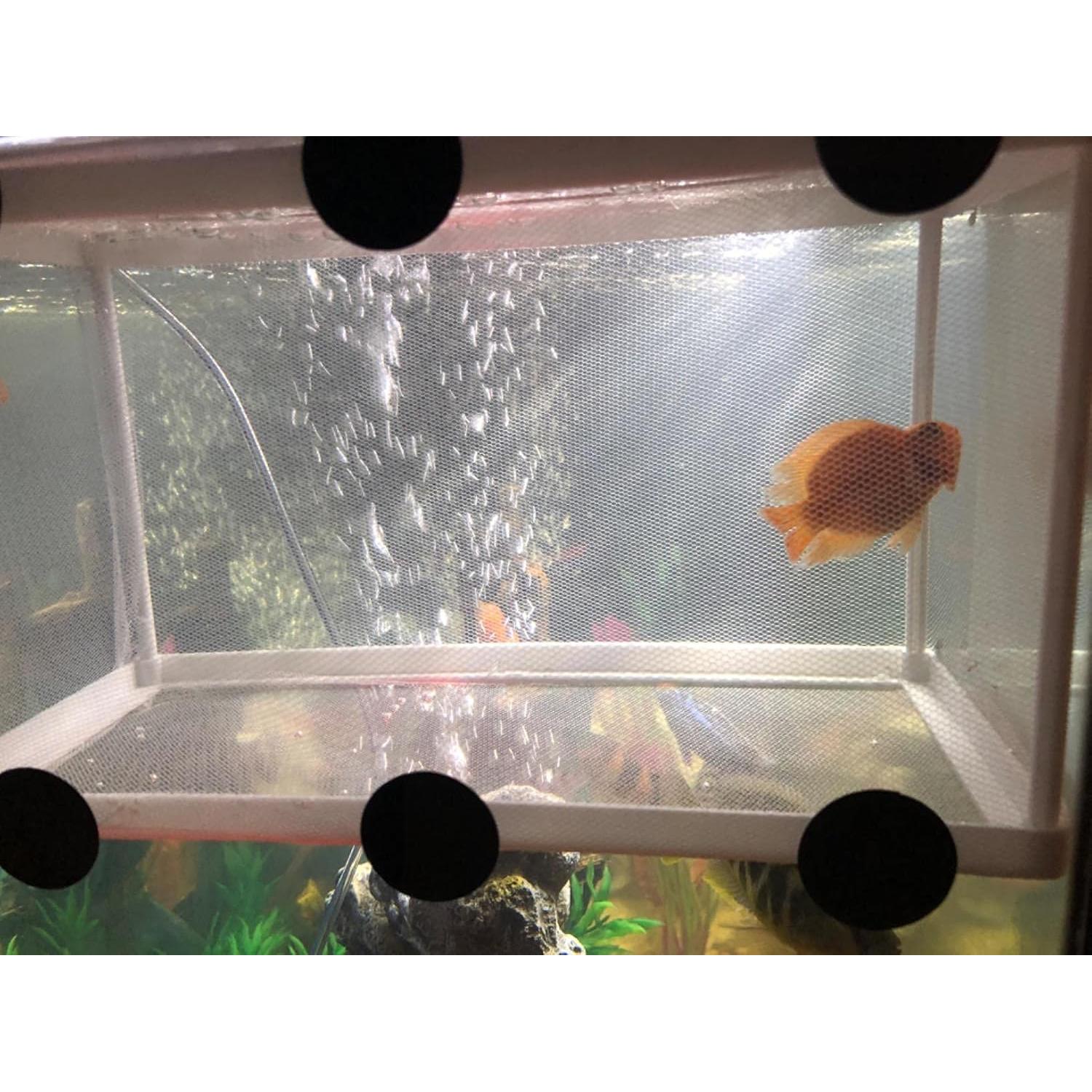 Red de Cría para Acuario Cunguv 26x15 cm con Ventosas