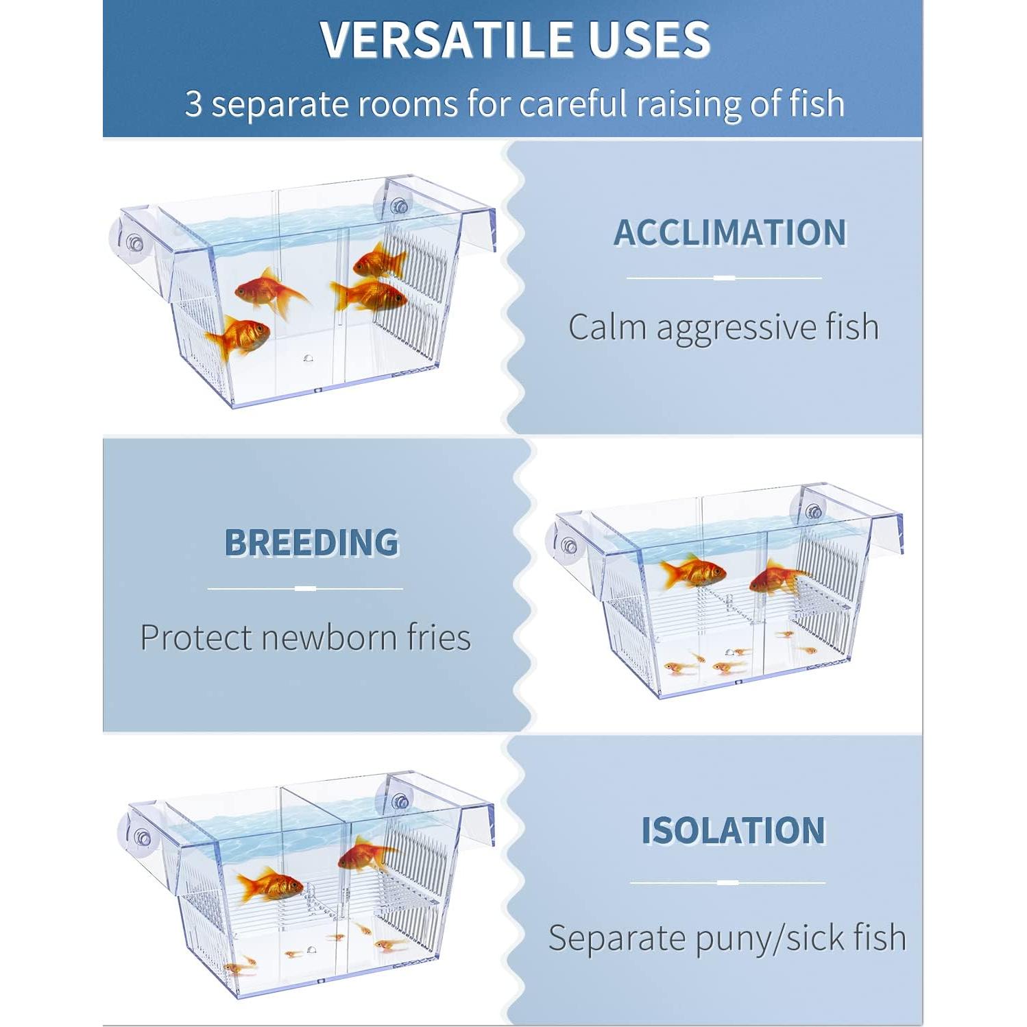 Caja de Cría Mediana Pawfly para Peces Bebé y Camarones