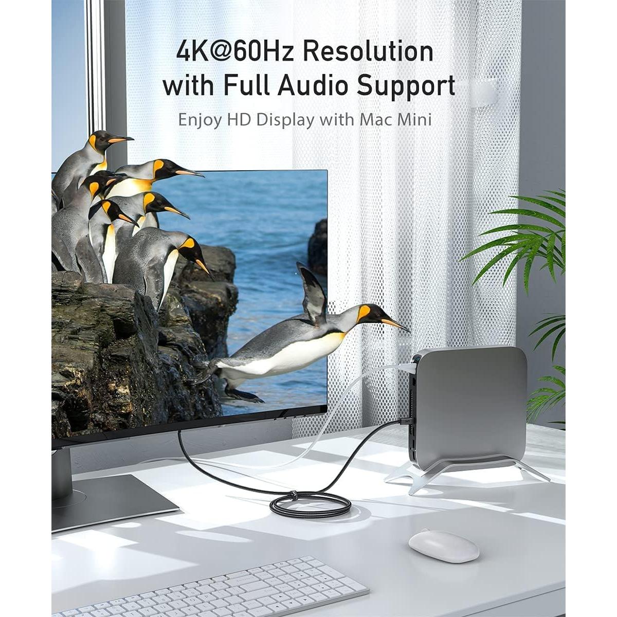 Cable USB C a DisplayPort uni 1.83m 4K@60Hz Compatible MacBook