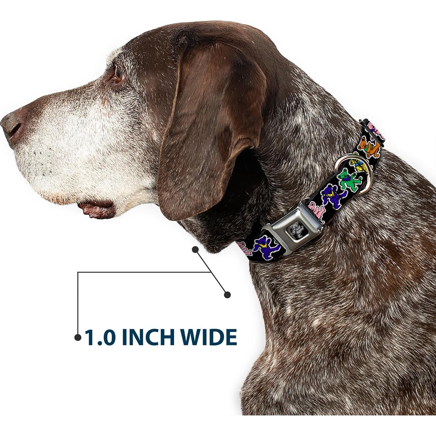 Collar para Perro Buckle-Down Osos Bailarines 3.81 cm Ajustable