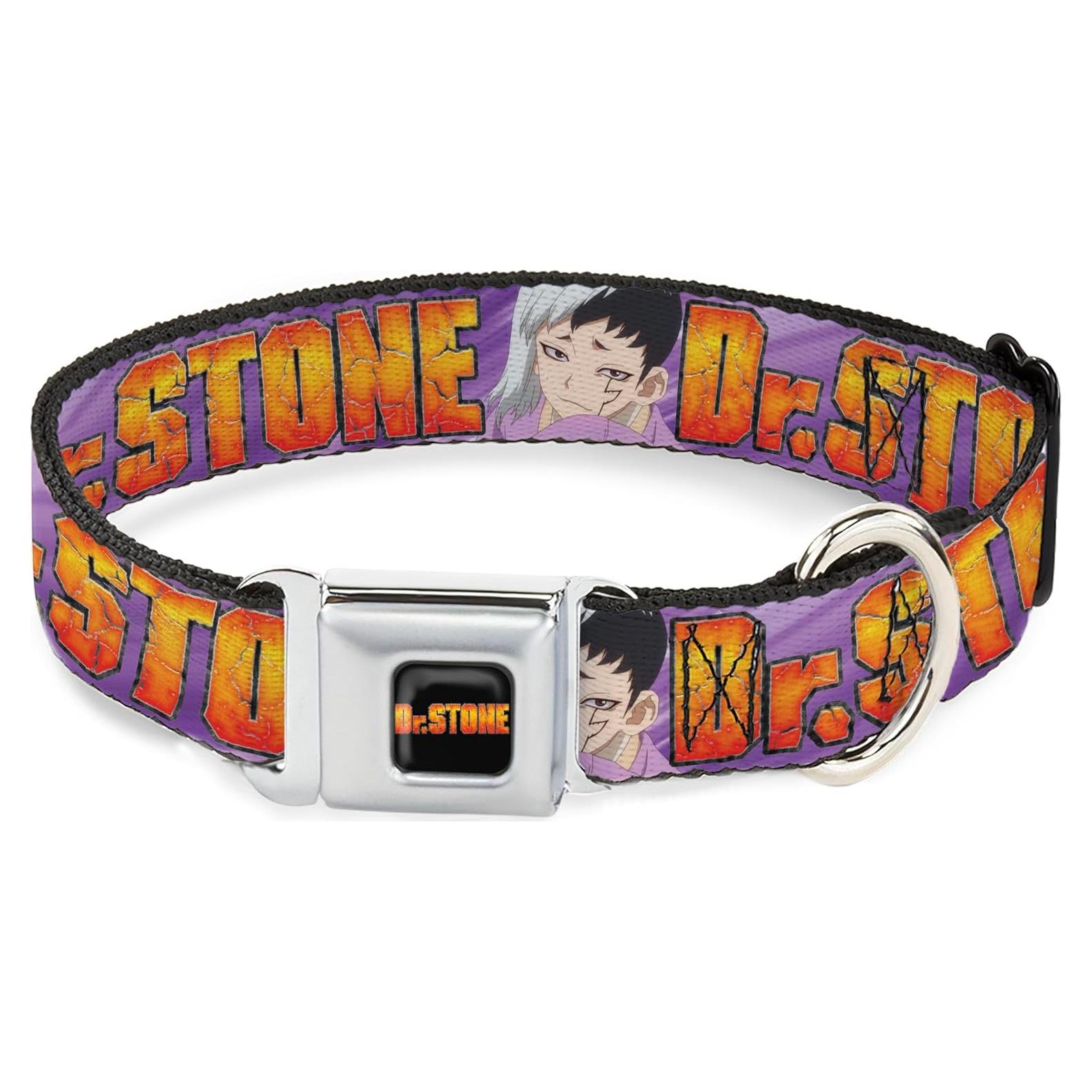 Collar para Perro Crunchyroll Dr Stone 16-23" (40.64-58.42 cm)
