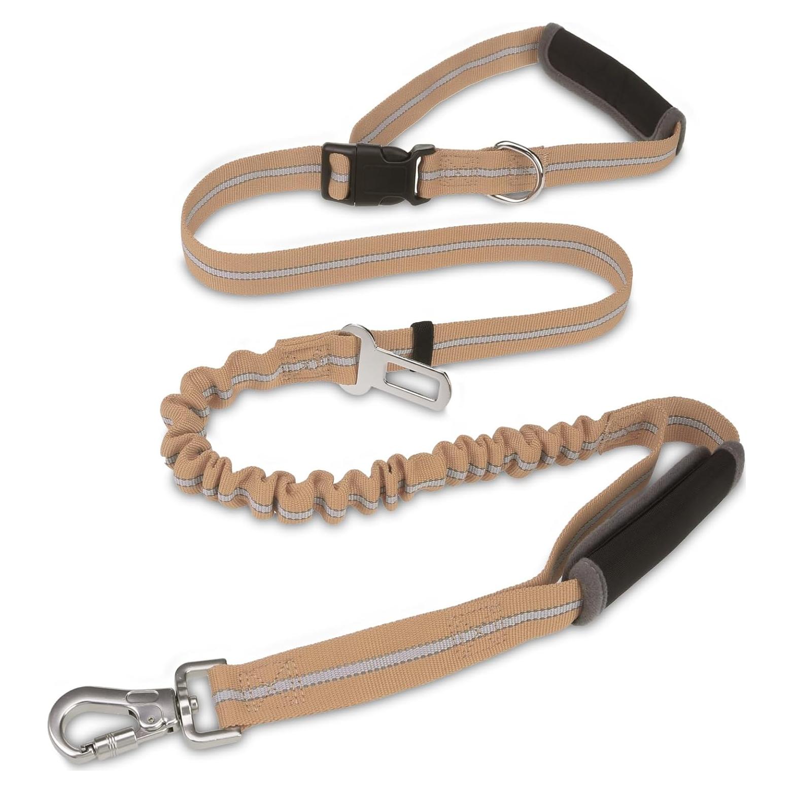 Correa Bungee para Perro PUPTECK con Doble Mango y Reflectante
