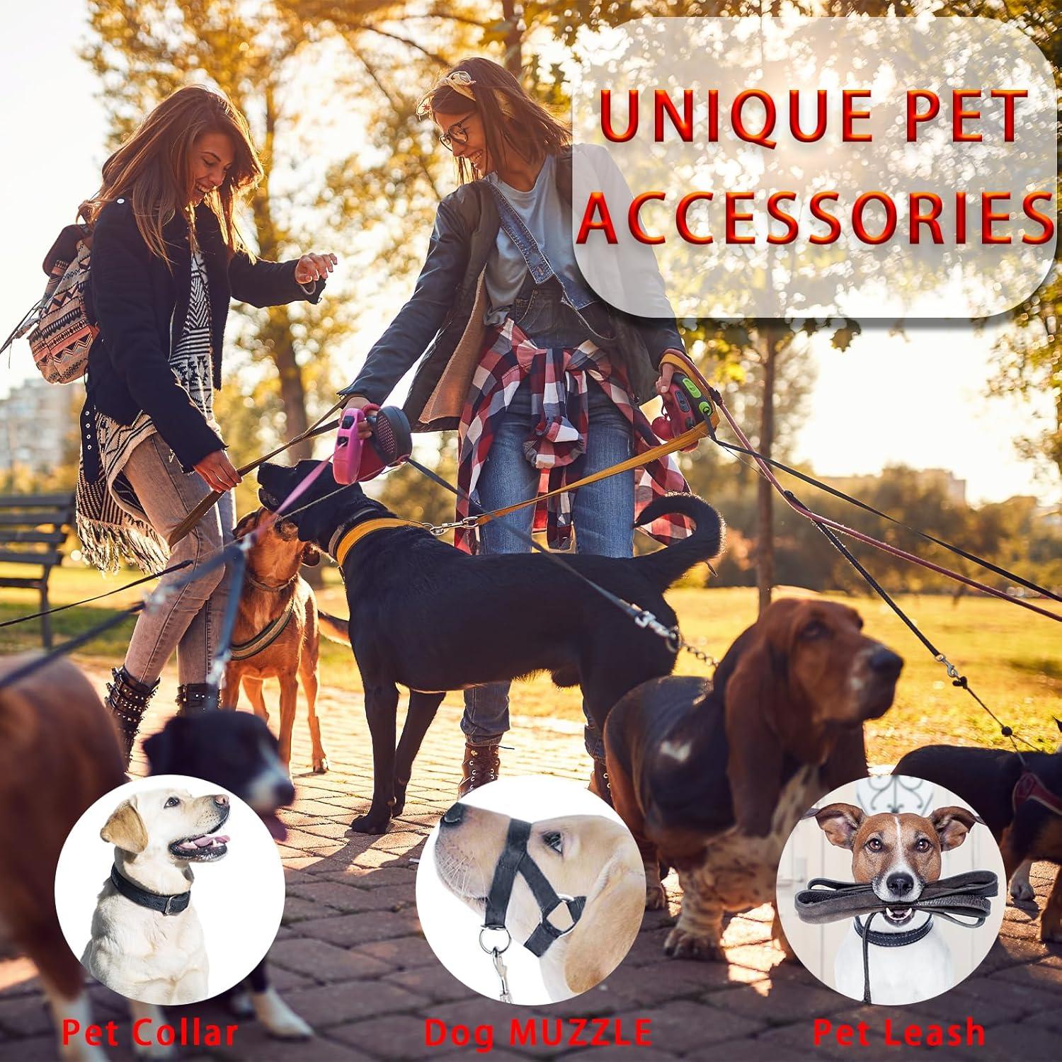 Correa de Nylon ZHFMILY 13.72m con Hebillas Ajustables