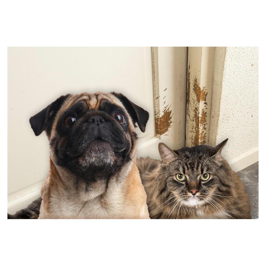 Protector de Umbral PETPROOF® EVERMARK - 4 Tiras 50.8 cm Blanco