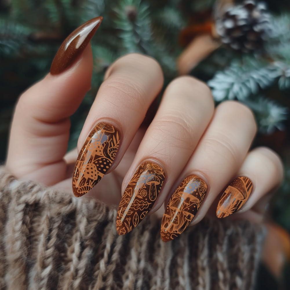 Plantillas de Estampado de Uñas PH PandaHall 3 Piezas Insectos