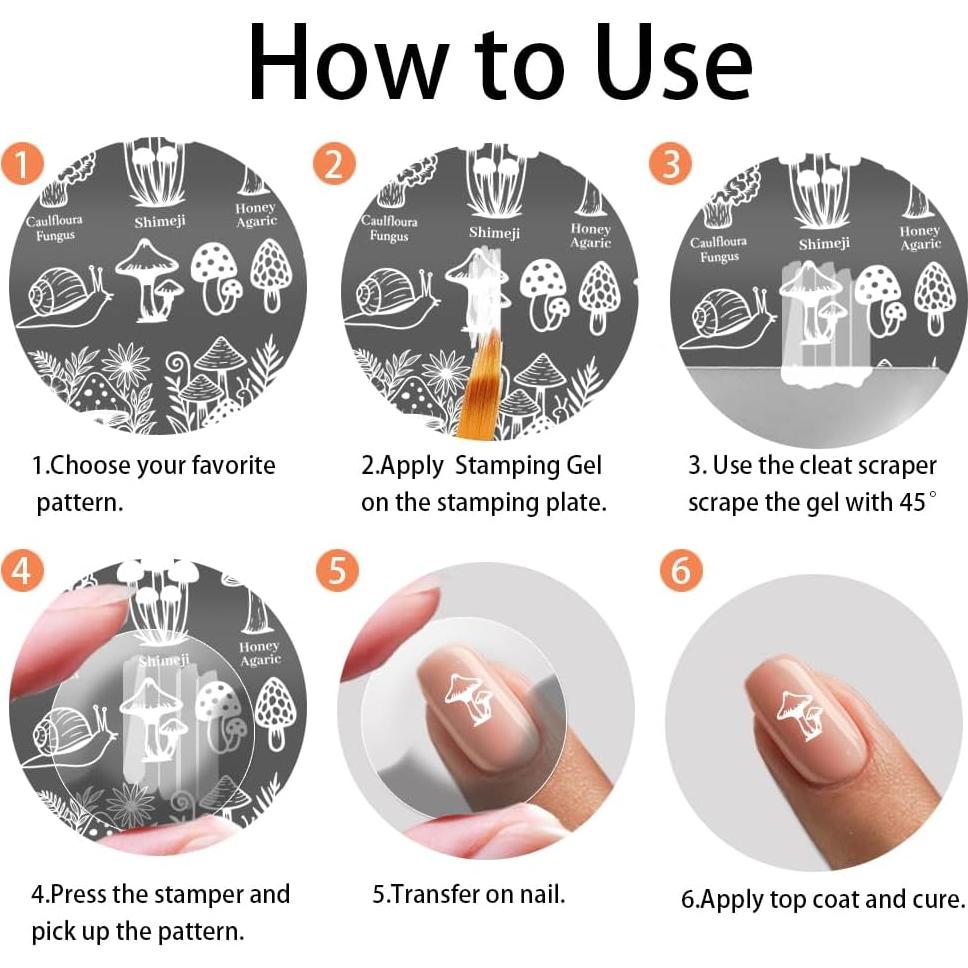 Plantillas de Estampado de Uñas PH PandaHall 3 Piezas Insectos