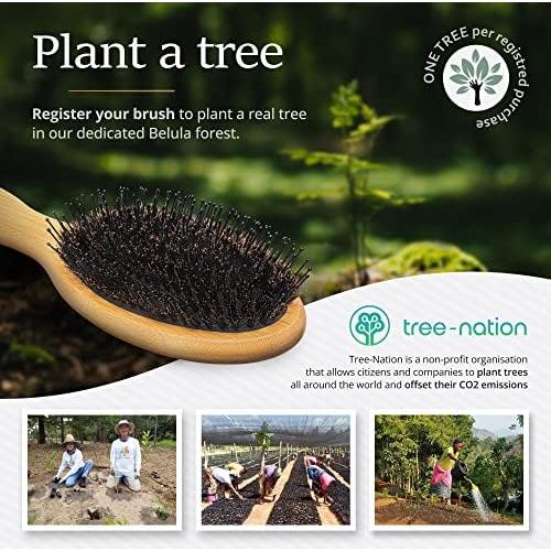 Cepillo Desenredante de Cerda de Jabalí Belula - 23x4.5cm