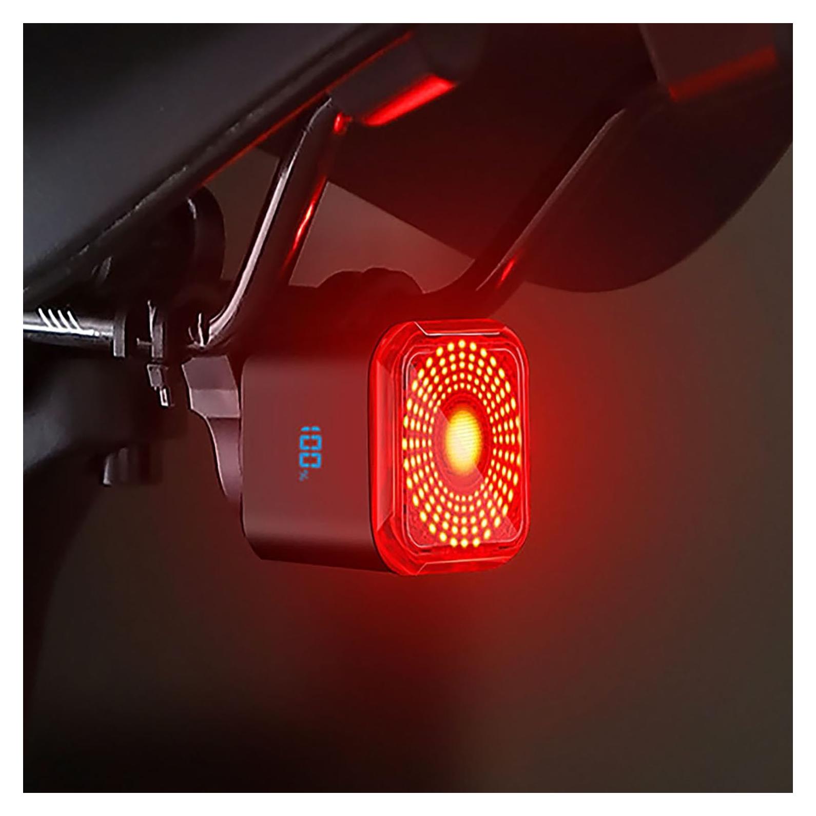 Luz Trasera Inteligente REYUNGGO AQY-0123 con Pantalla Digital
