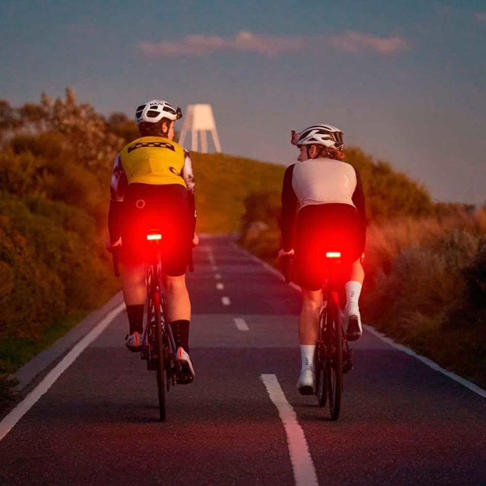 Luz Trasera de Bicicleta KNOG Blinder Link 100 Lúmenes USB-C