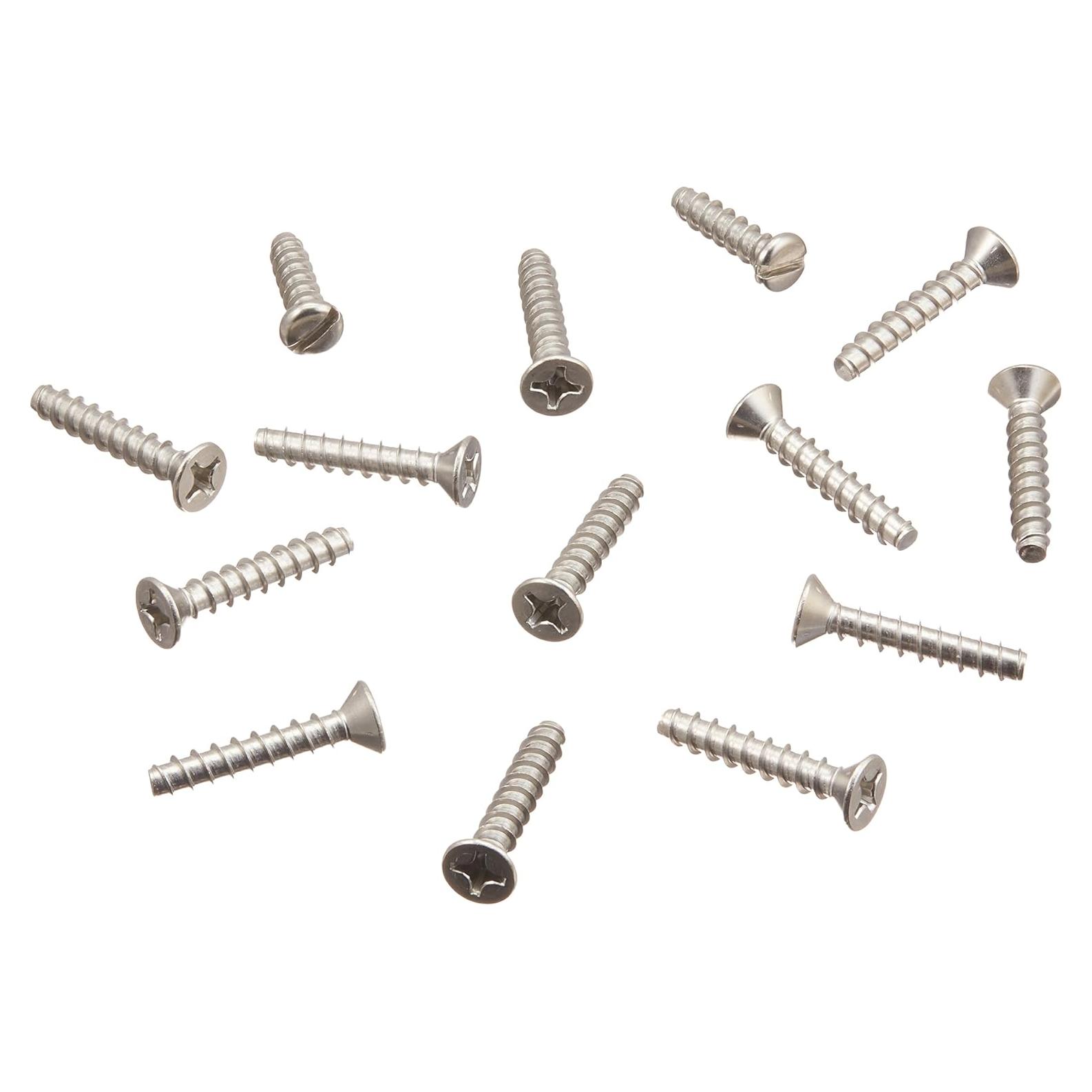 Juego de Tornillos Autoperforantes Hayward SPX1084Z4AM 3.18 cm