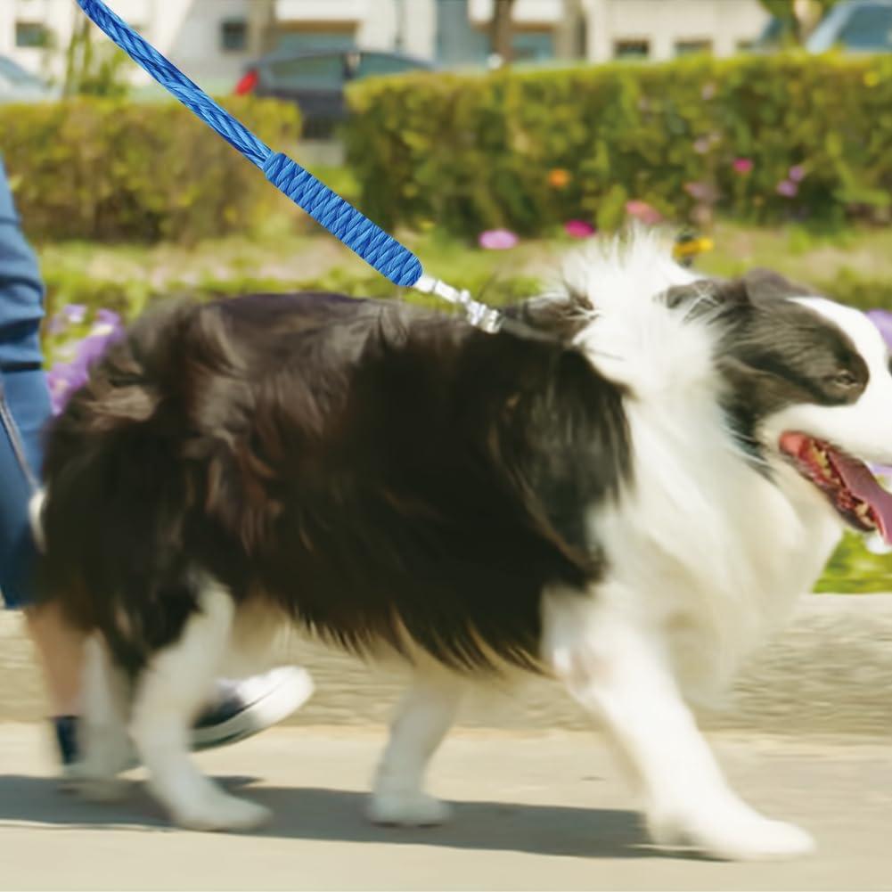 Cuerda de Nylon Trenzada 20 m Tiiyee para Camping y Ropa