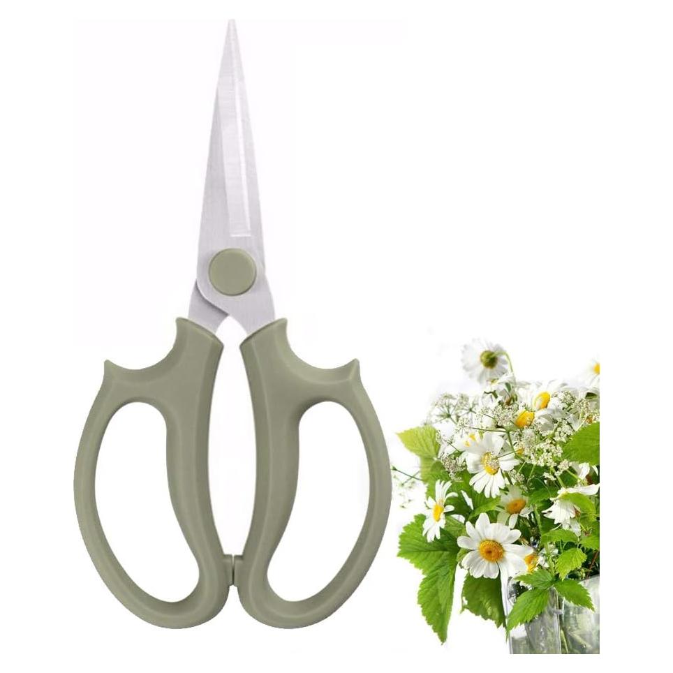 Tijeras de Flores Leize de Acero Inoxidable 8cm Verde Grisáceo