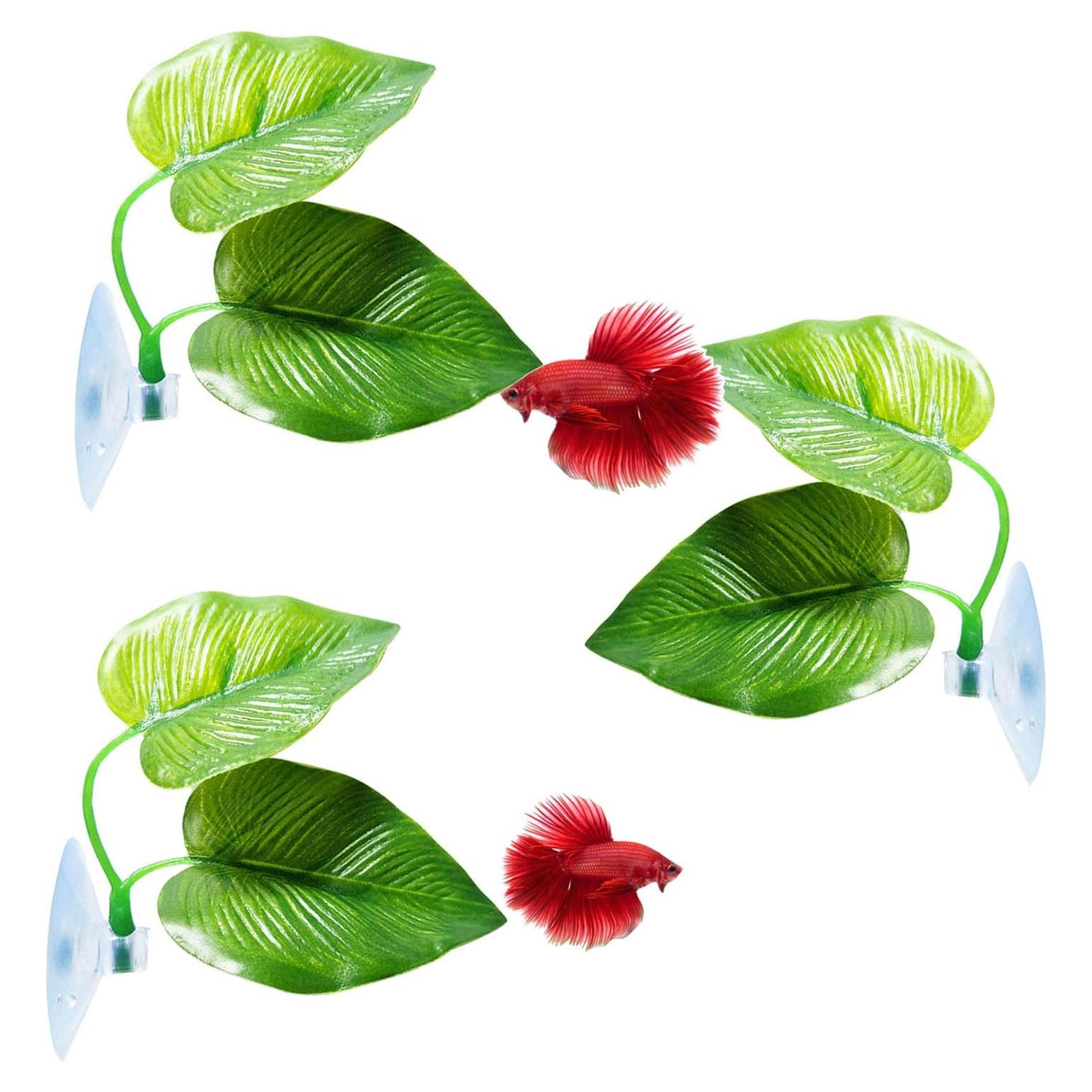 Paquete de 3 Almohadillas para Peces Betta CousDUoBe - Natural