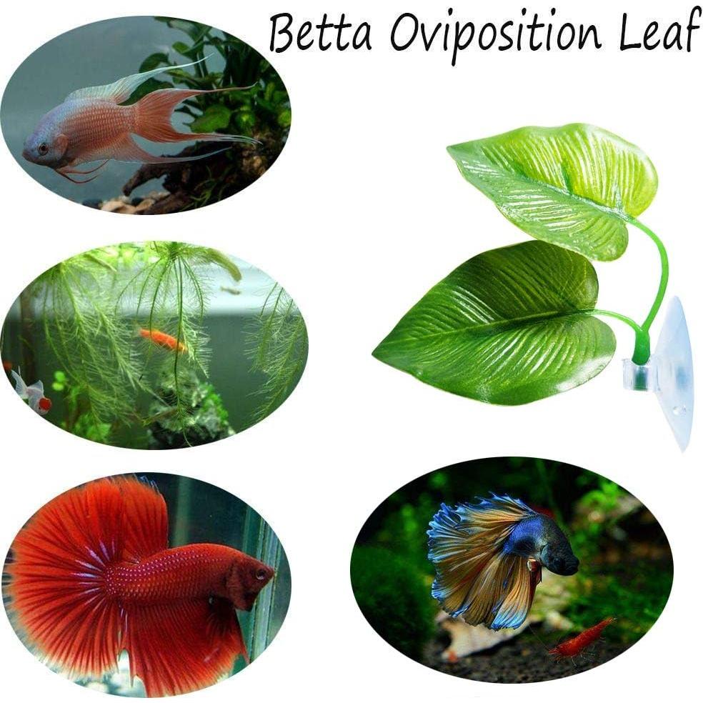 Paquete de 3 Almohadillas para Peces Betta CousDUoBe - Natural