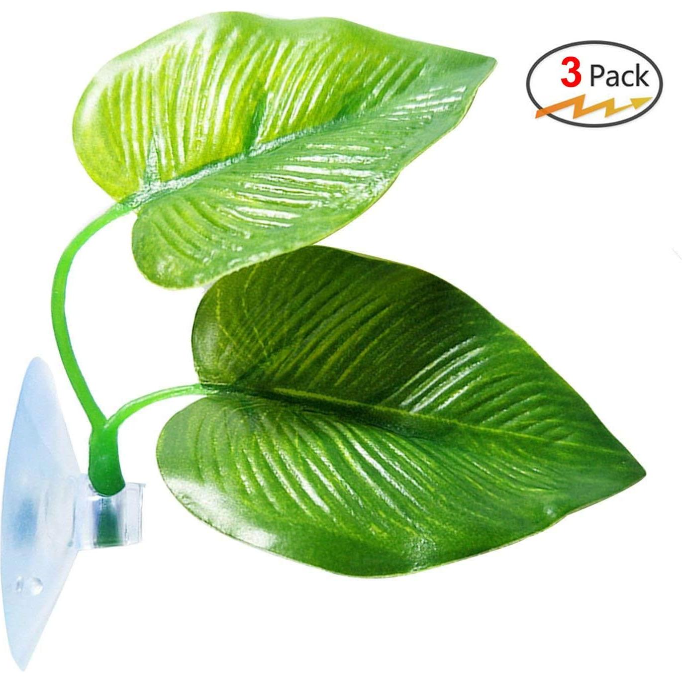 Paquete de 3 Almohadillas para Peces Betta CousDUoBe - Natural