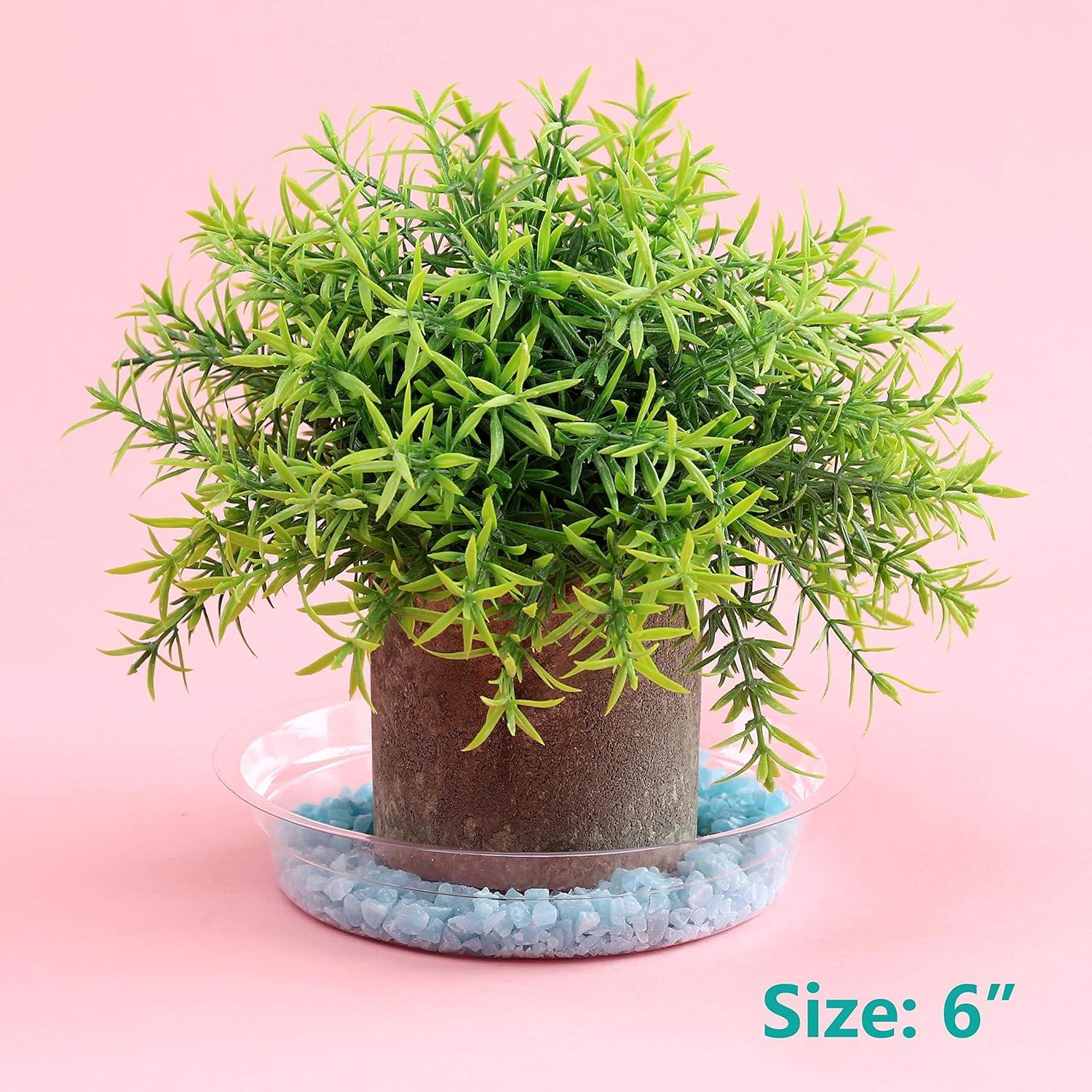 Paquete de 20 platos de planta UltraOutlet 15.24 cm transparentes