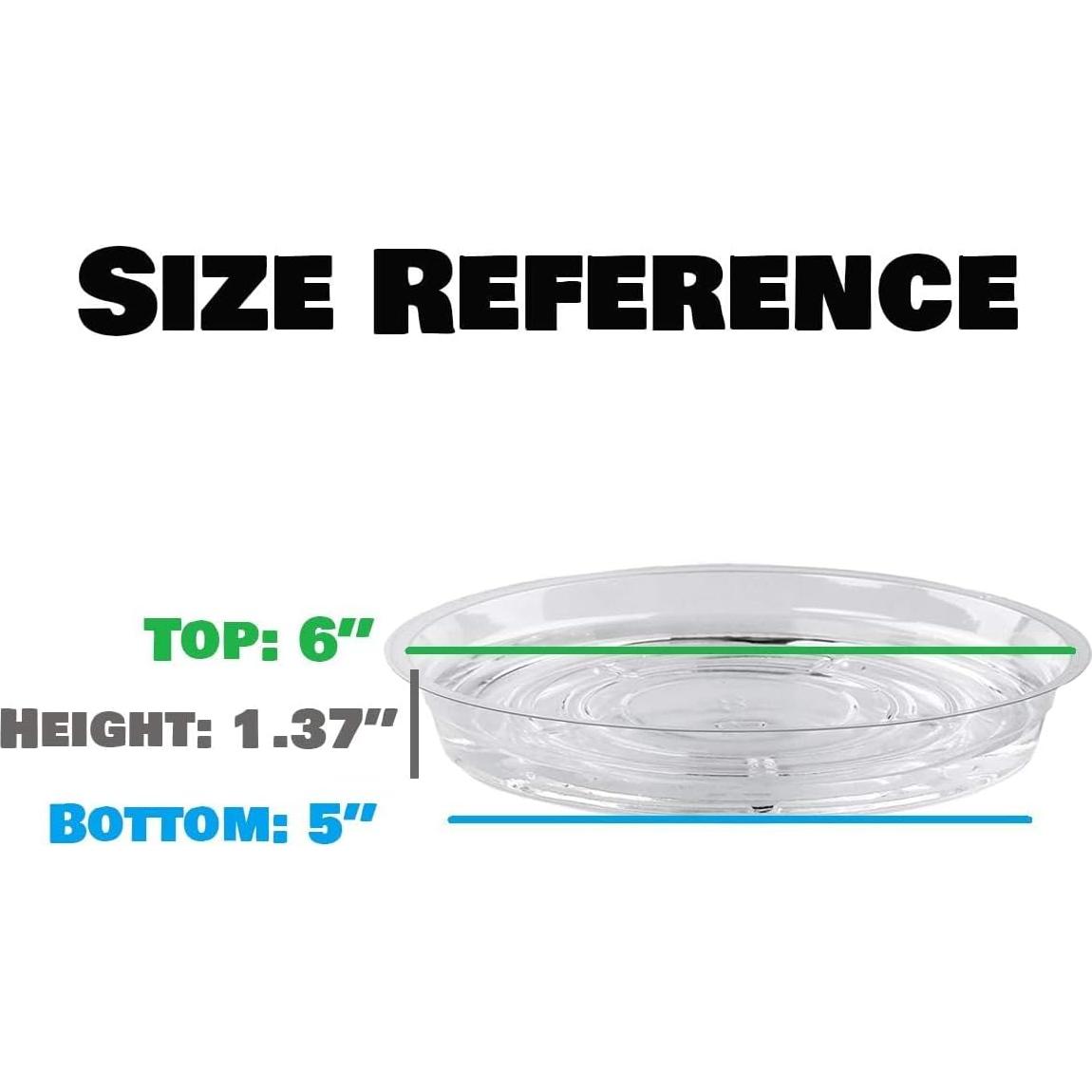 Paquete de 20 platos de planta UltraOutlet 15.24 cm transparentes