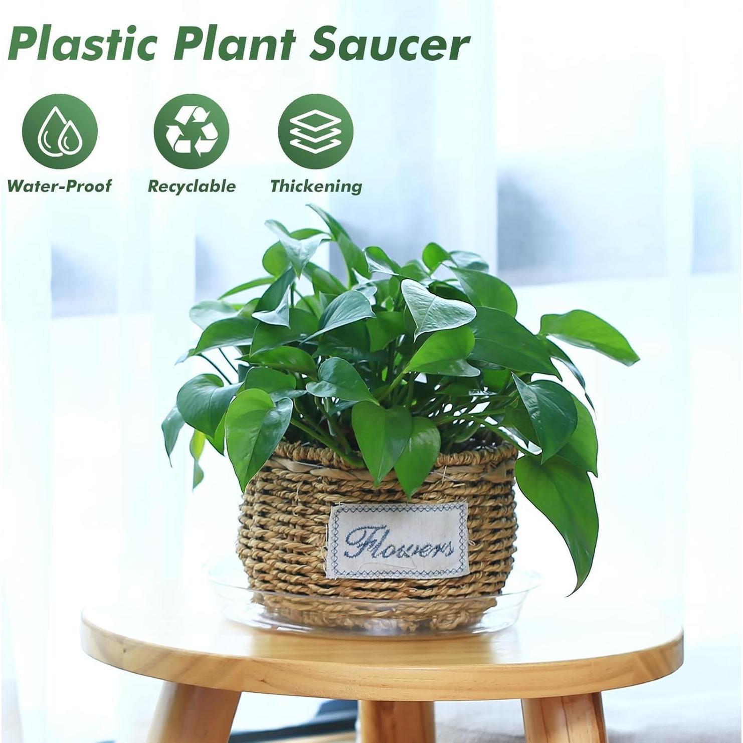 Paquete de 20 platos de planta UltraOutlet 15.24 cm transparentes