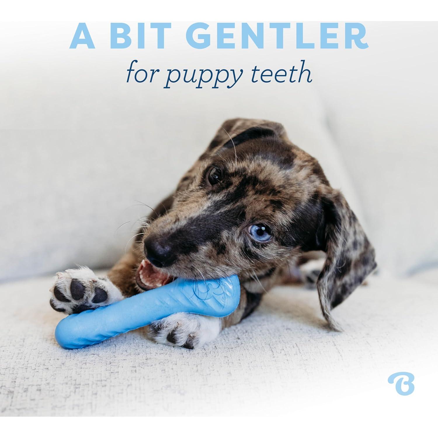 Benebone Cachorro 2-Pack Hueso de Goma Sabor Bacon