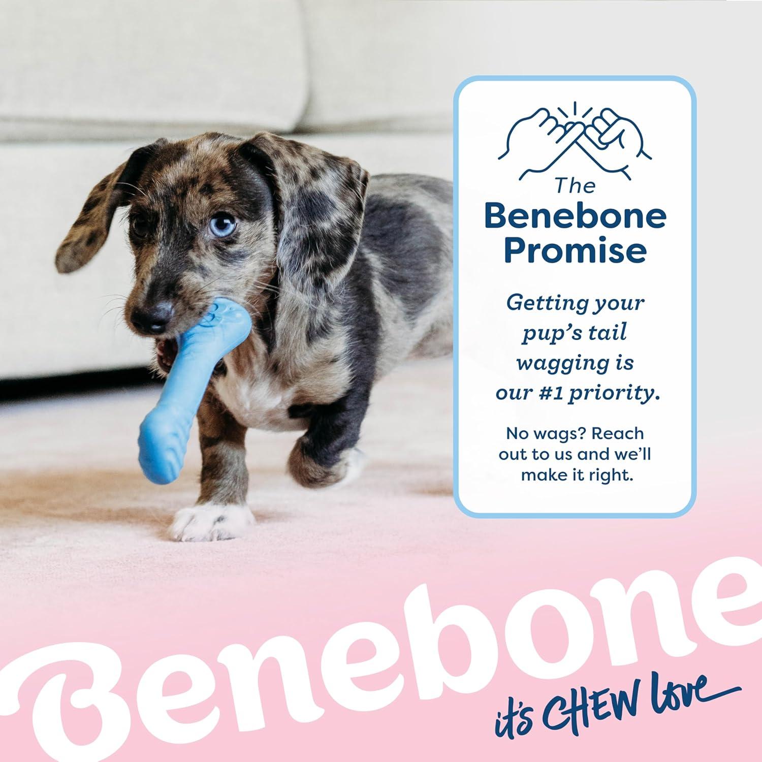 Benebone Cachorro 2-Pack Hueso de Goma Sabor Bacon