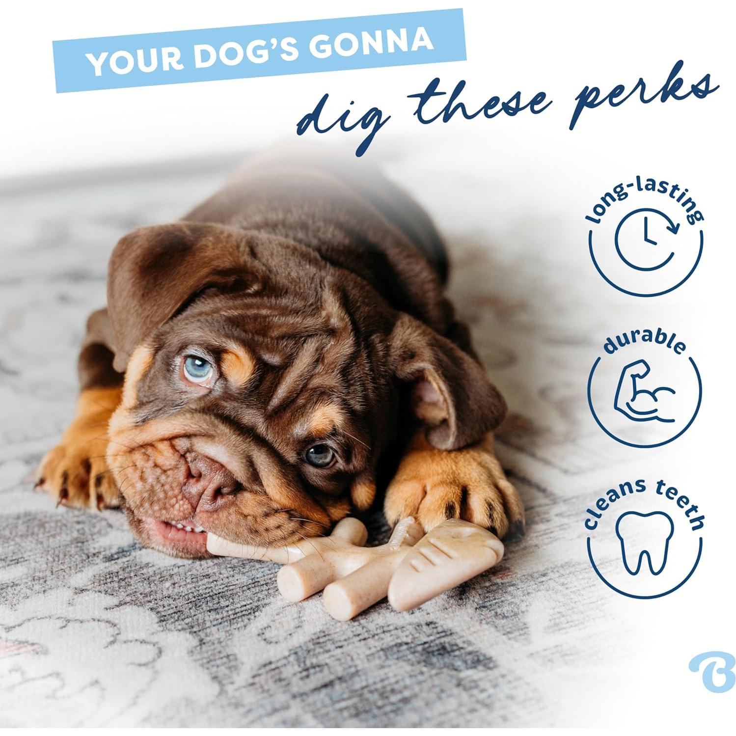 Juguete masticable para perro Benebone Puppy Fishbone