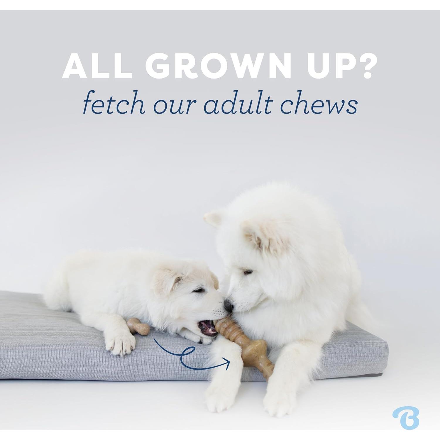 Juguete masticable para perro Benebone Puppy Fishbone