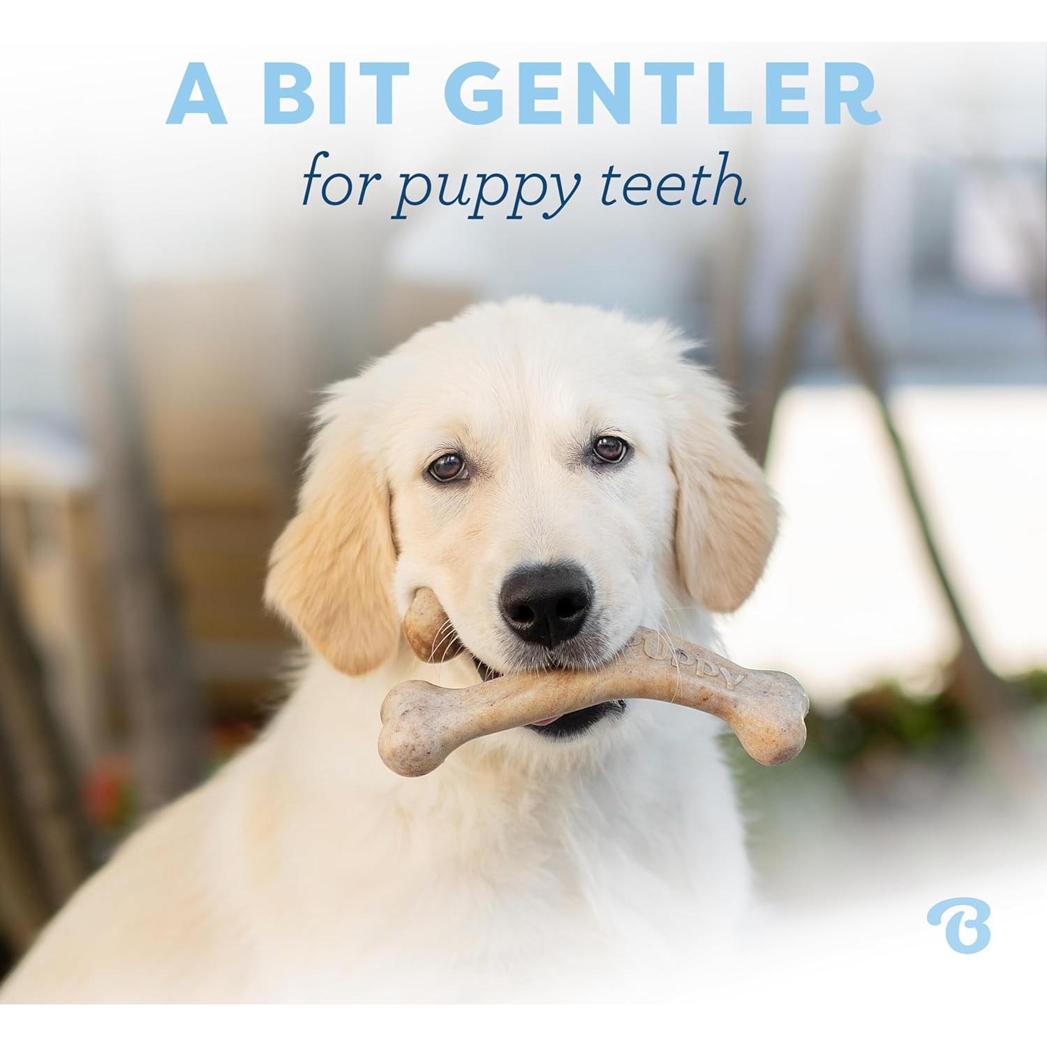 Hueso de Deseo Benebone para Cachorros Sabor Tocino 3.81cm