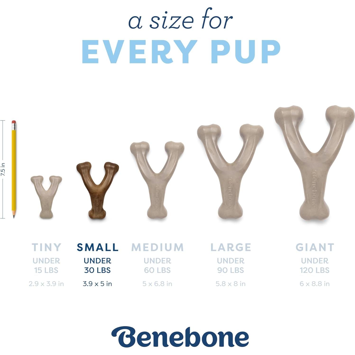 Hueso de Deseo Benebone para Cachorros Sabor Tocino 3.81cm