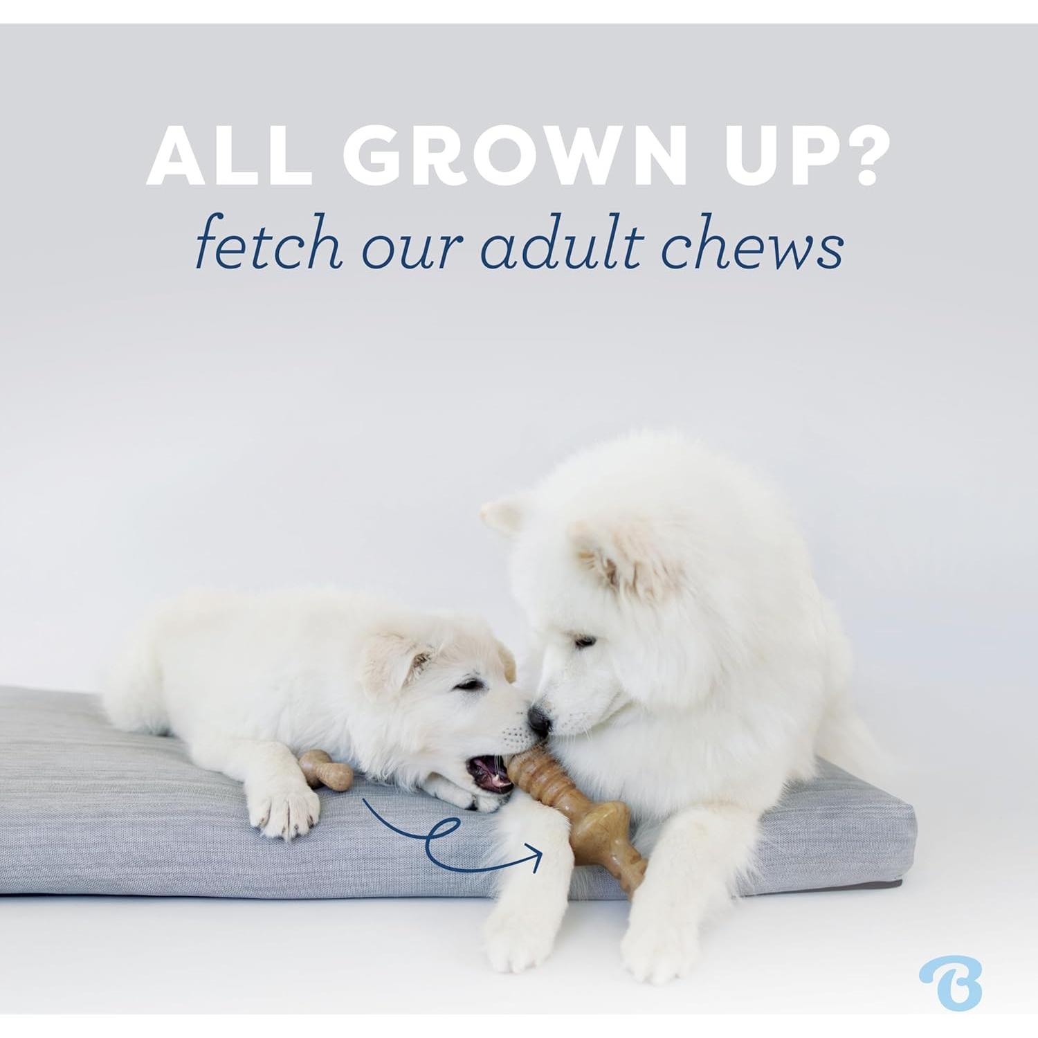 Hueso de Deseo Benebone para Cachorros Sabor Tocino 3.81cm