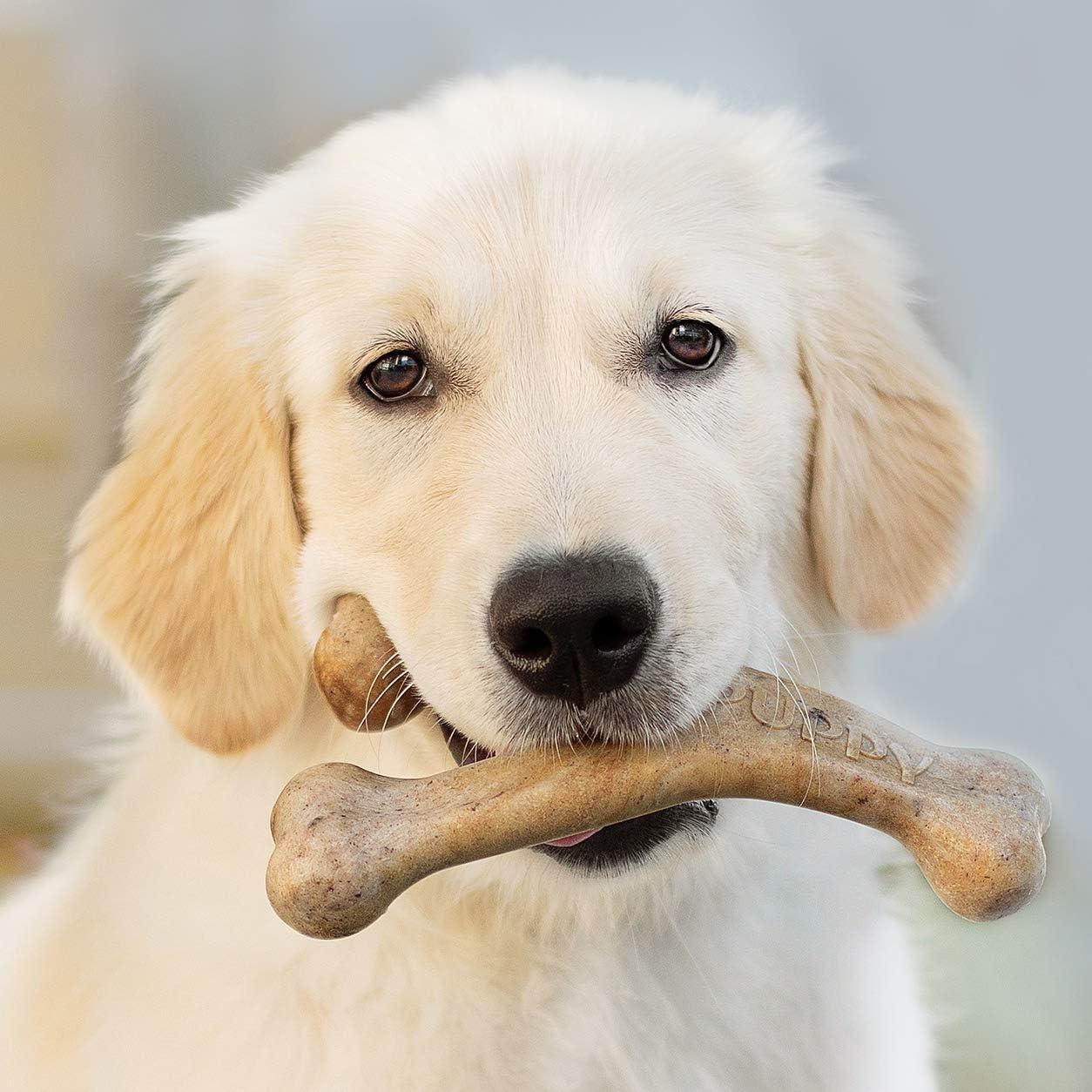 Benebone Juguete Masticable para Cachorros Medianos - Tocino Real