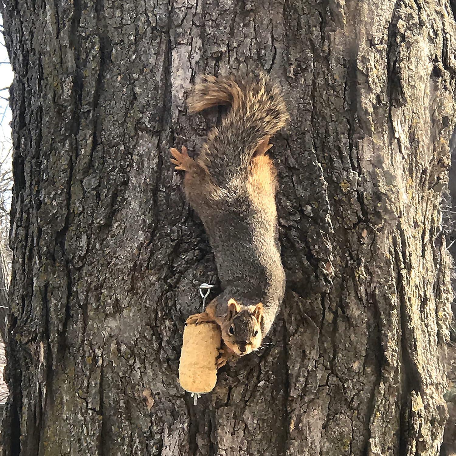 Squirrellog de Maíz Dulce C&S con Kit de Inicio y Colgador