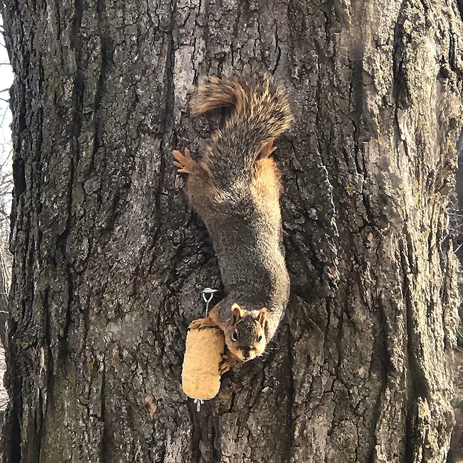 Squirrellog de Maíz Dulce C&S con Kit de Inicio y Colgador