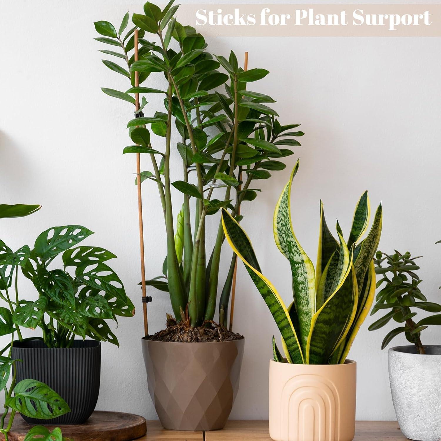 150 Palitos de Bambú para Asar Malvaviscos WSICSE 76 cm